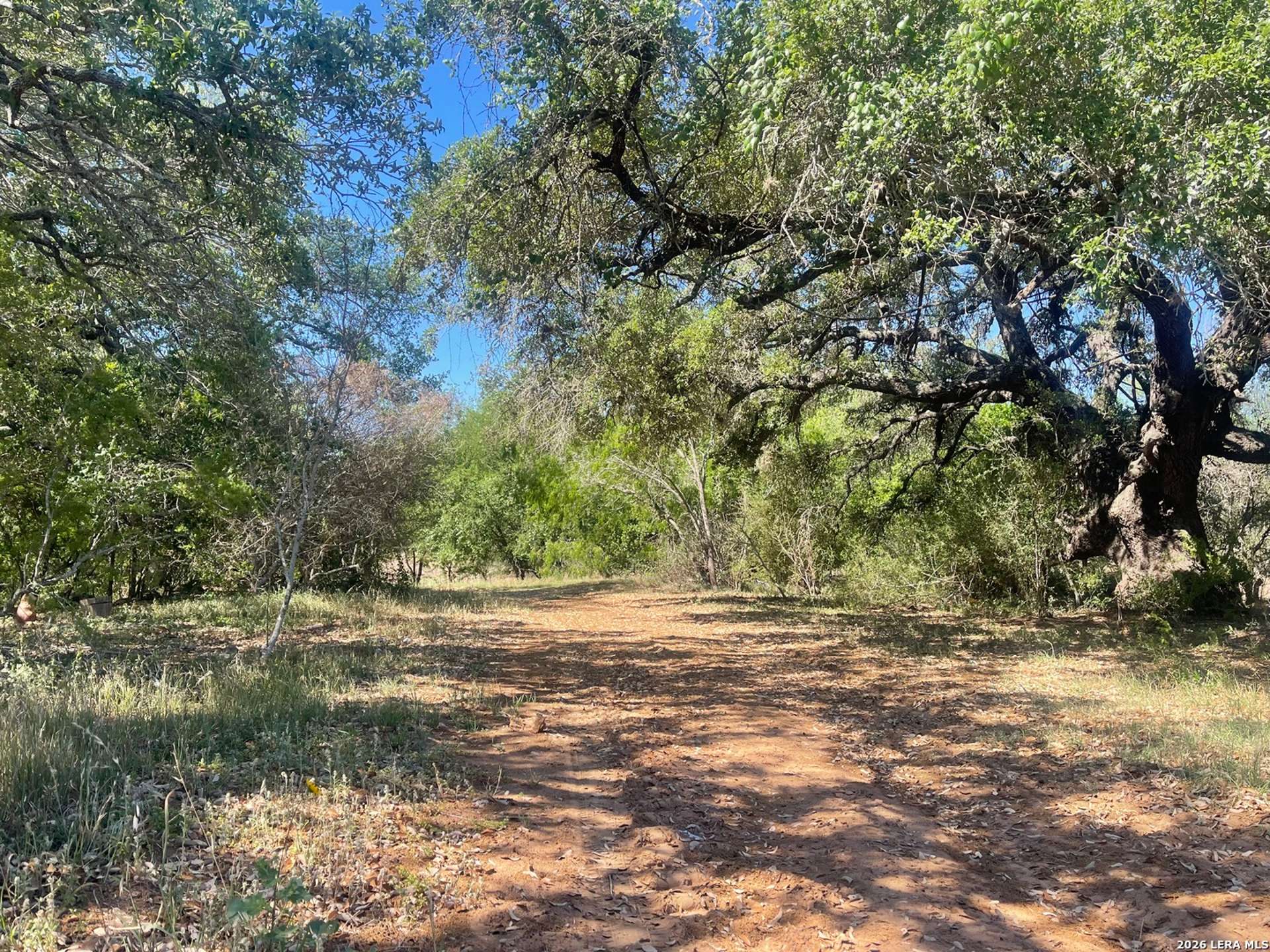 2141 County Road 132