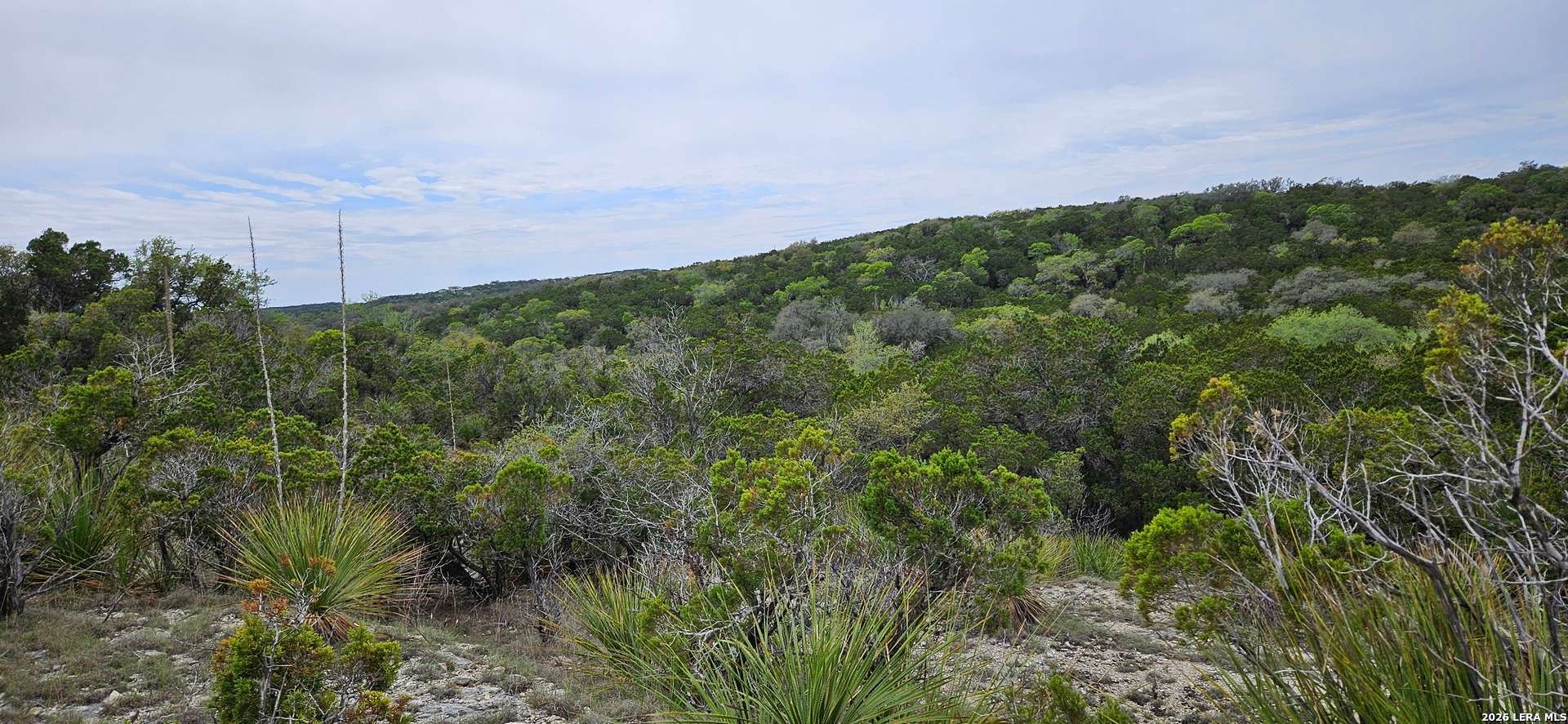 21207 Scenic Loop