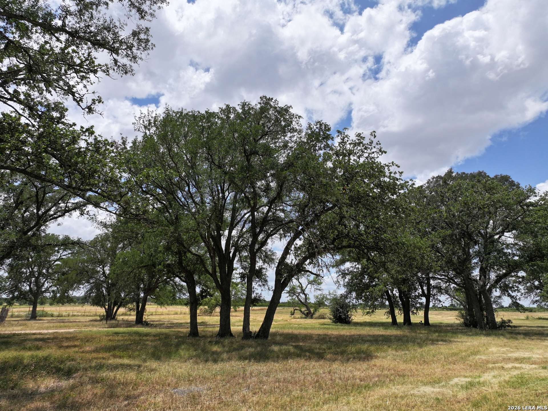 497 LUCKENBACH RD