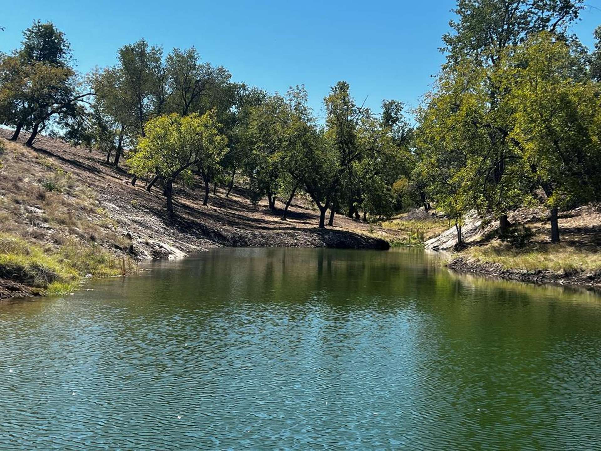 481 Living Water Ranch Rd.