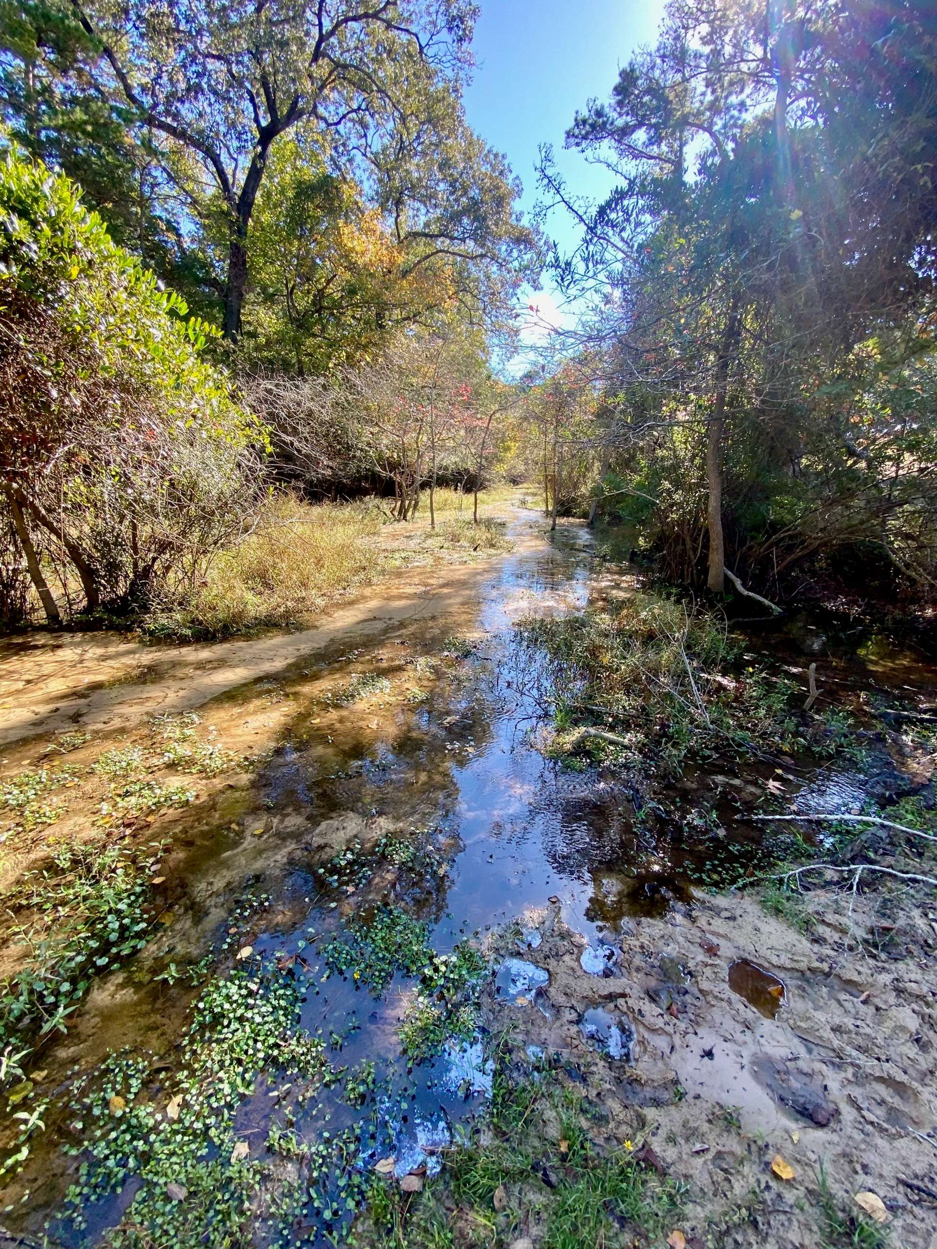 485 Private Road 6142