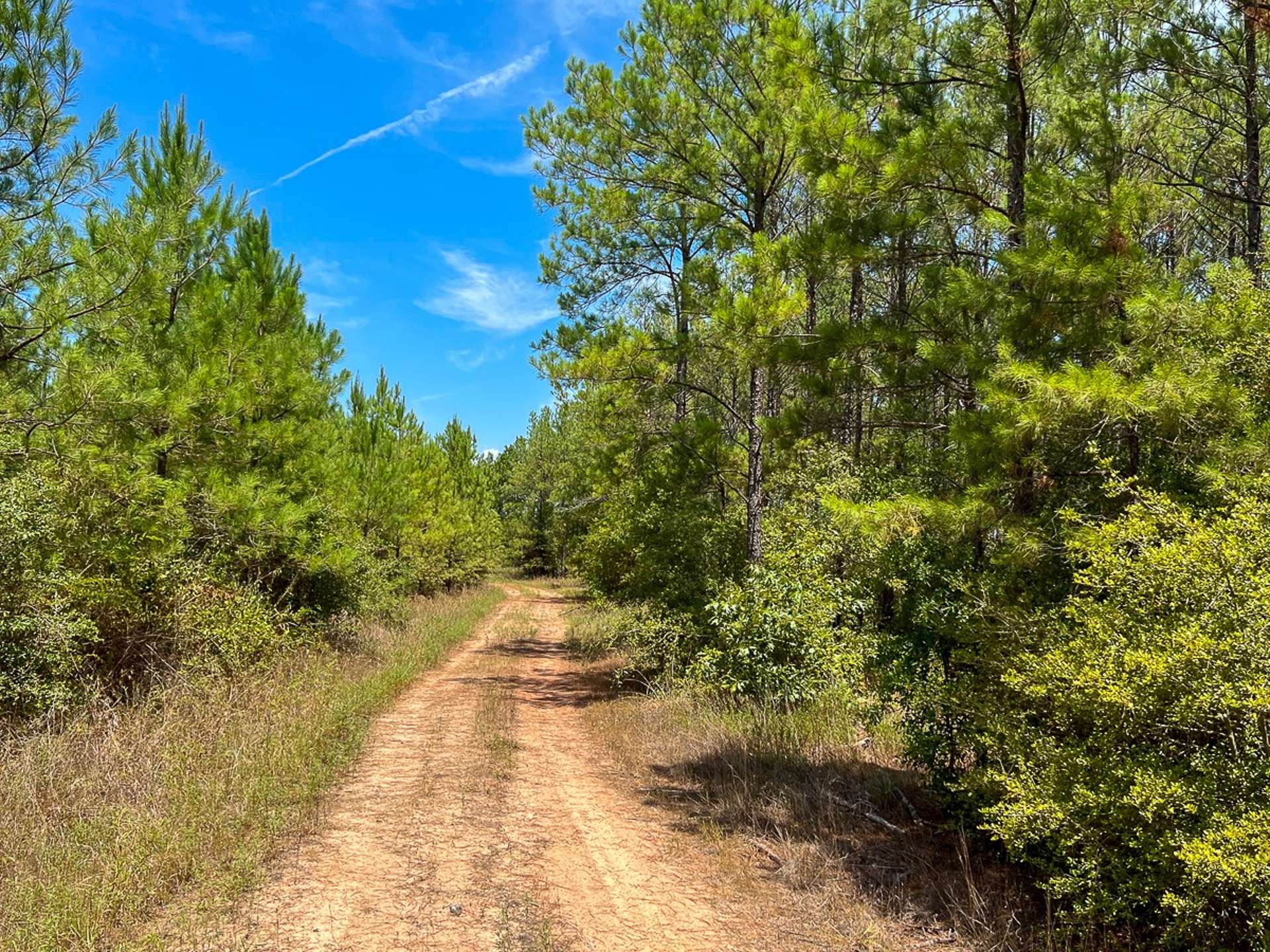 0 Lost Indian Camp Road
