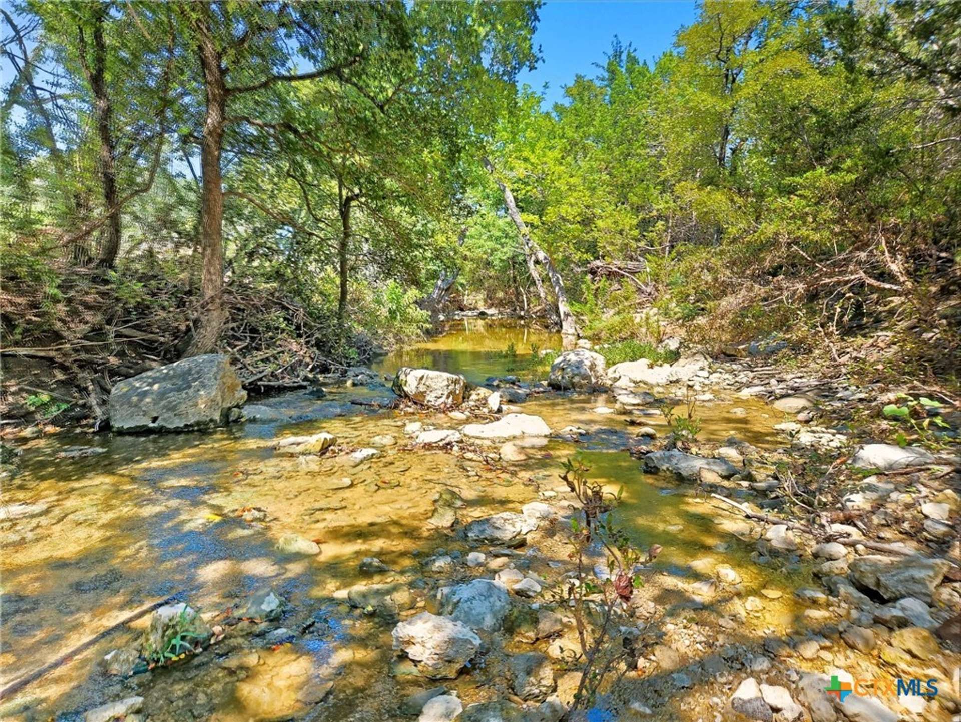TBD-176 Acres FM 116