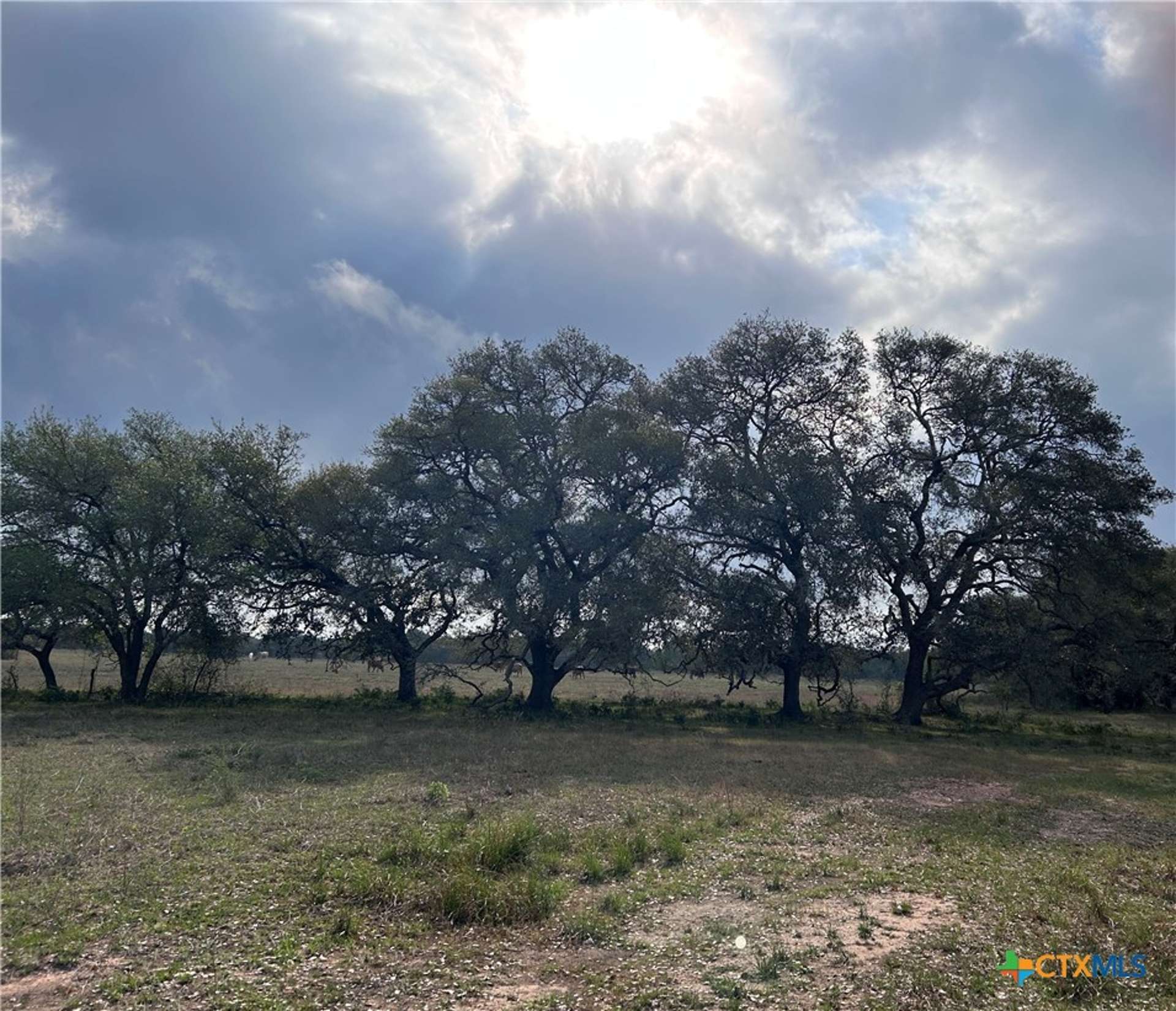 1022 County Road 438