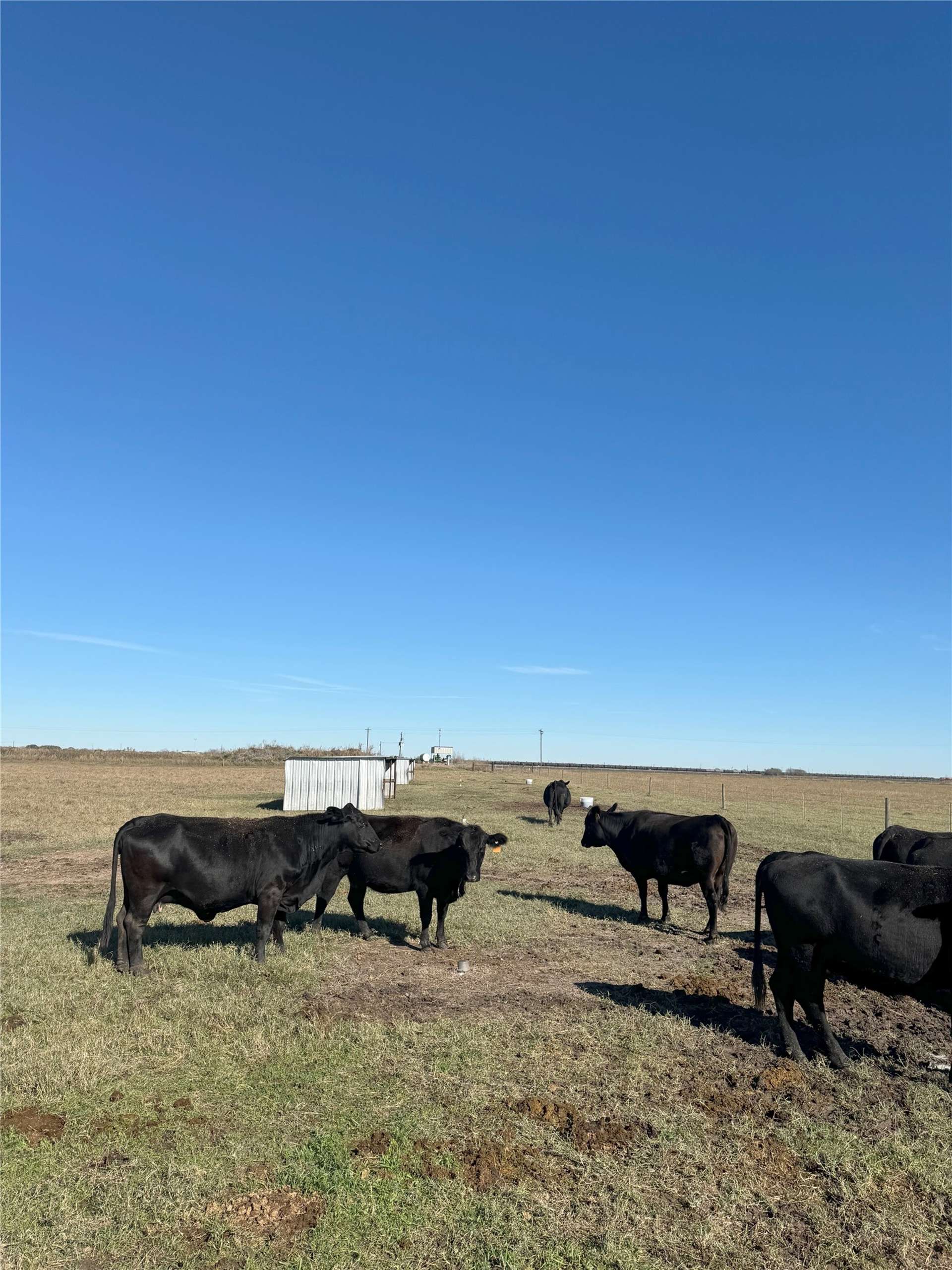 00 County Road 312
