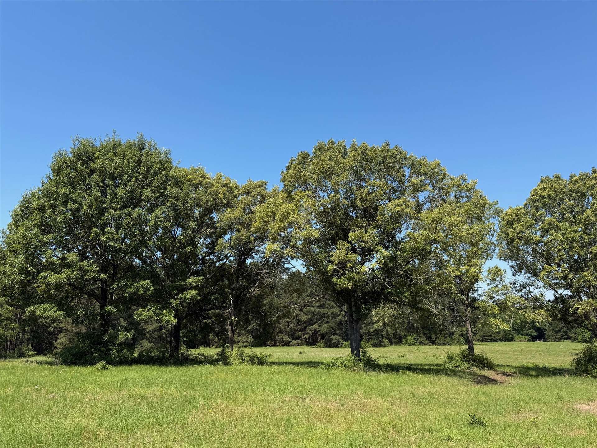 TBD Hwy 75 South