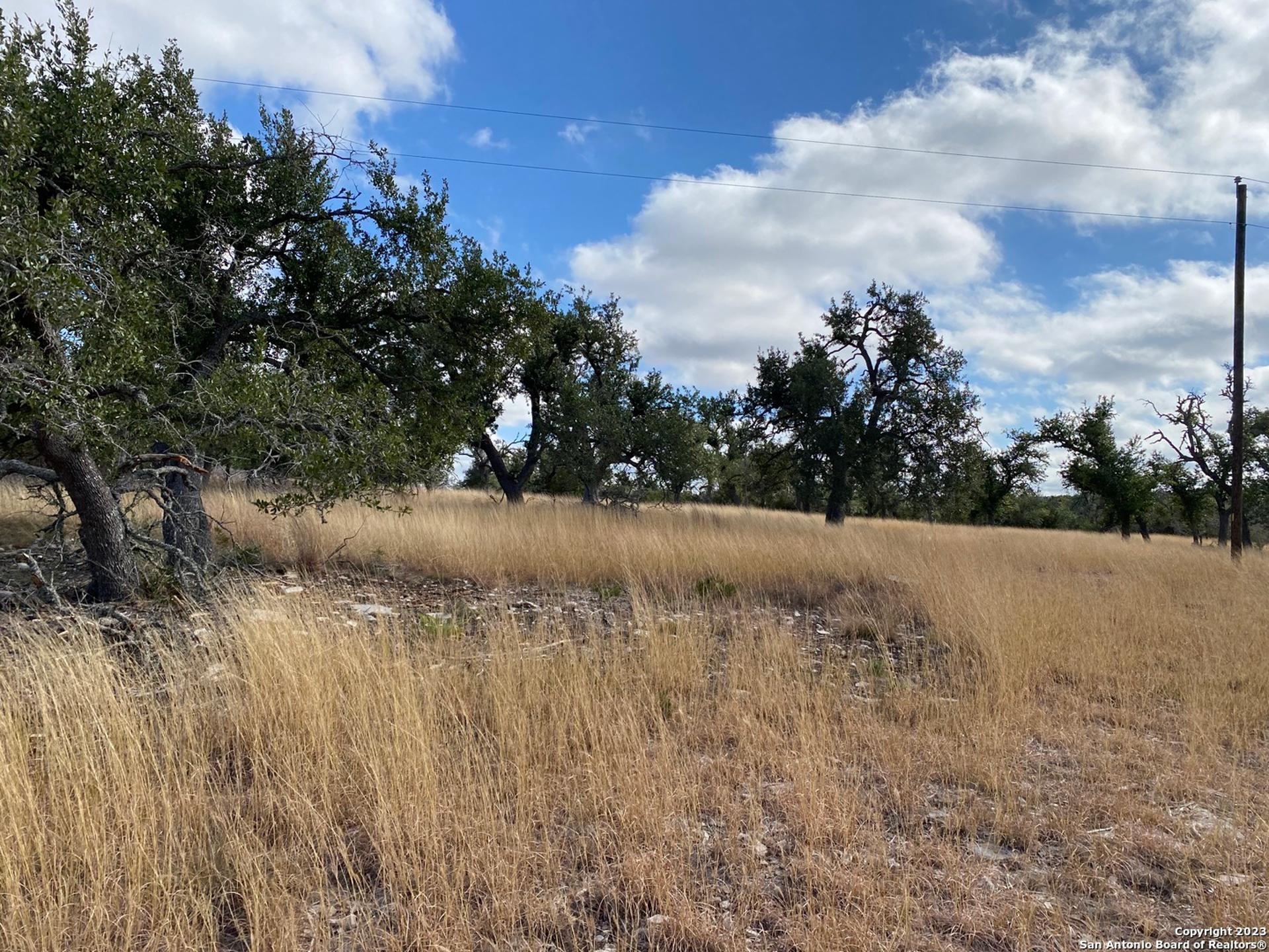 7490 US-87 N, FREDERICKS, TX, 78624