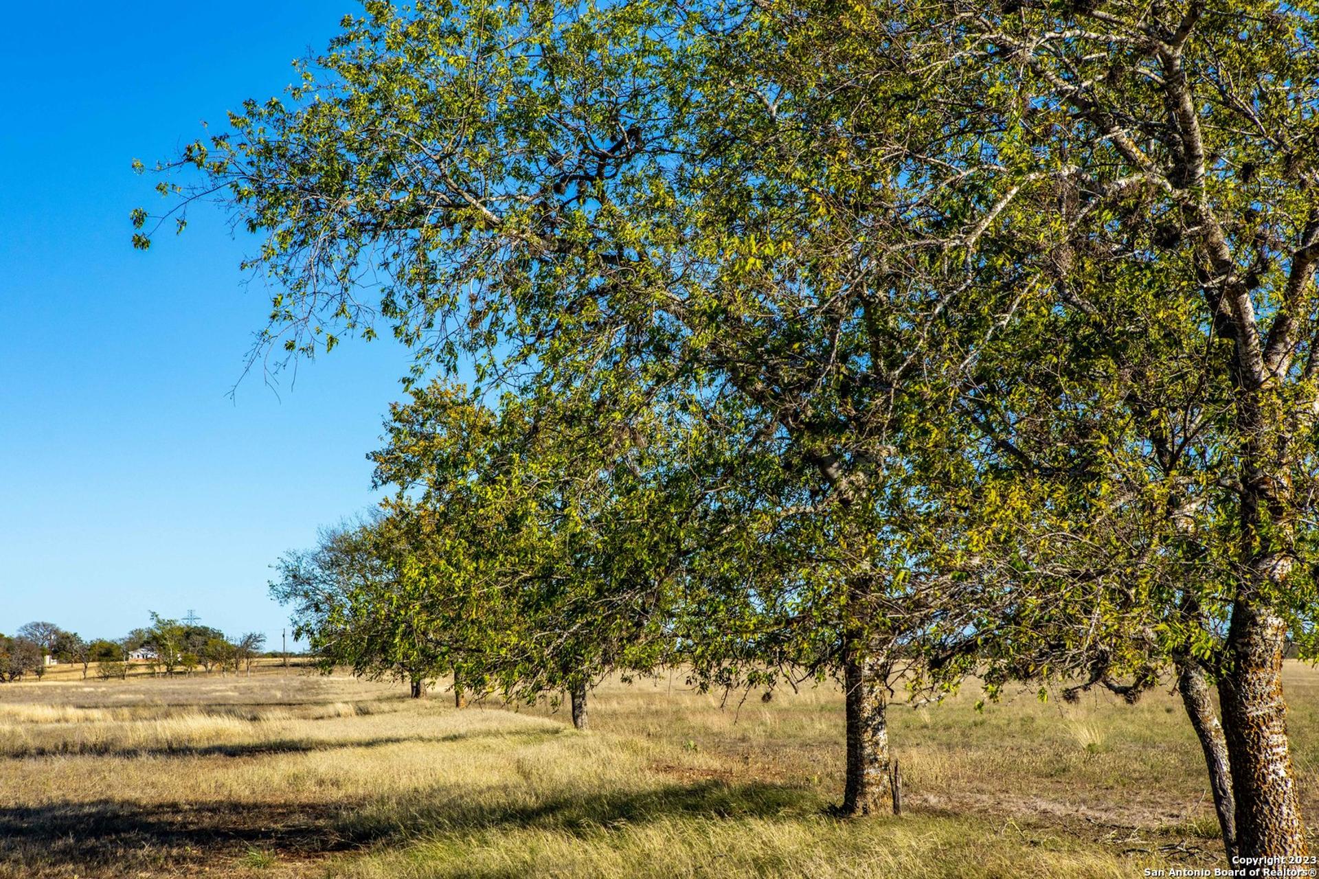 46 Fm 1621, COMFORT, TX, 78013