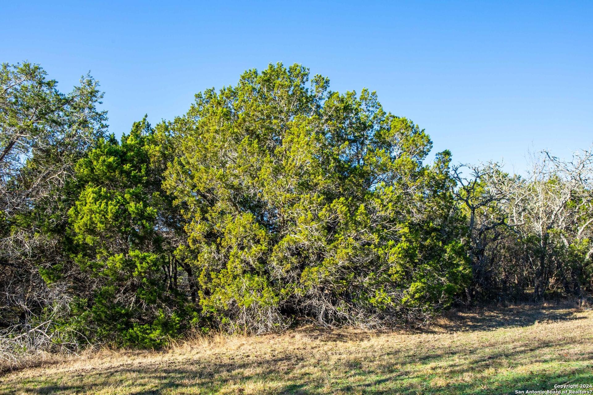 TBD Hidden Valley Dr, PIPE_CREEK, TX, 78063
