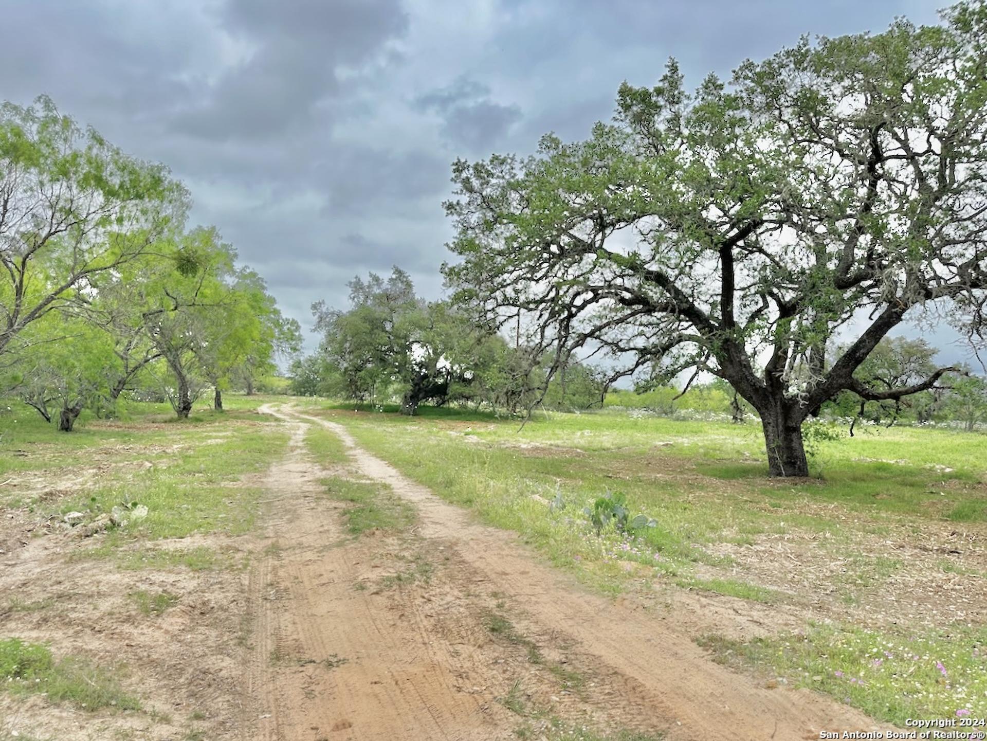 177.9 AC CR 7711, DEVINE, TX, 78016