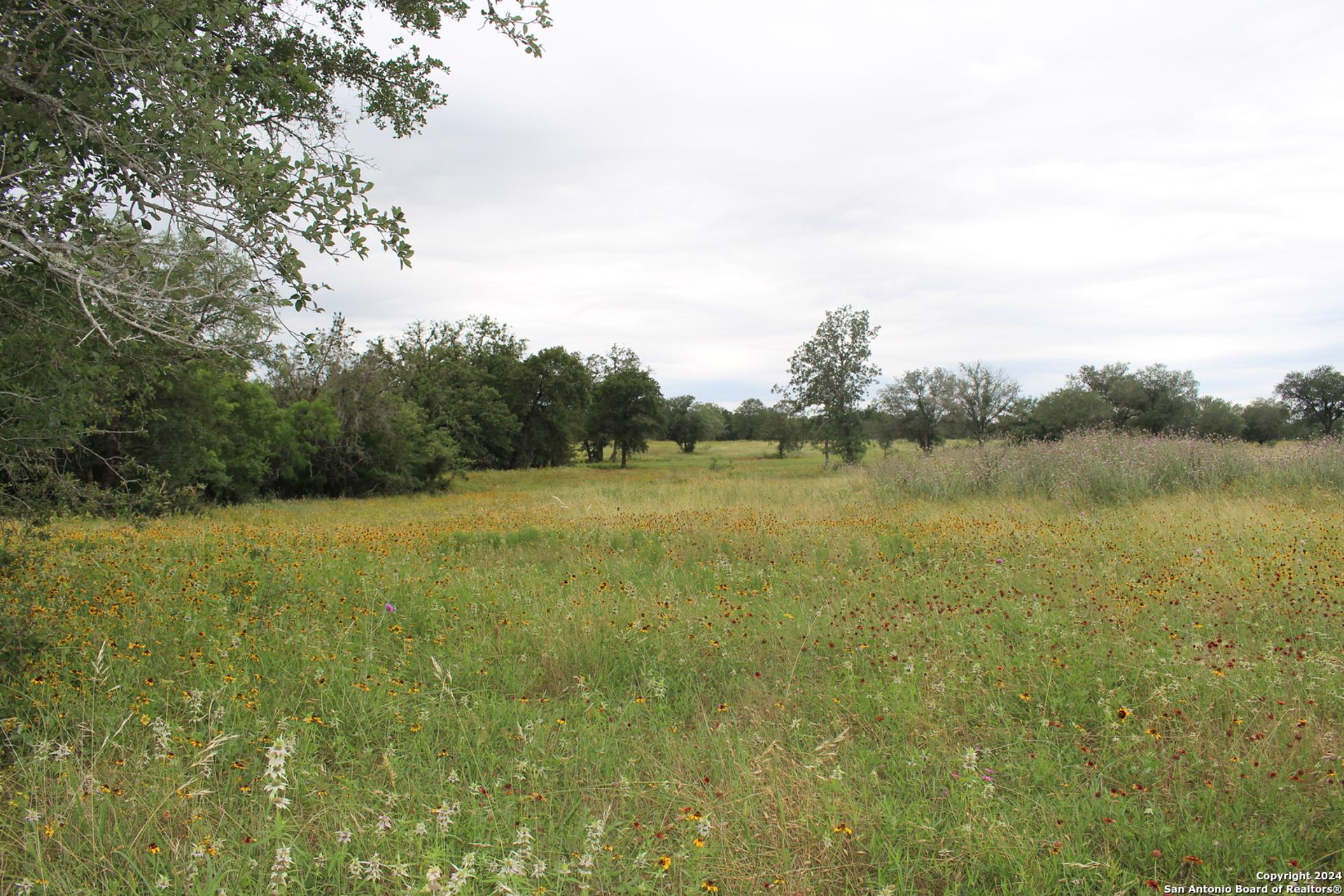 TBD Twin Creeks Rd, SEGUIN, TX, 78155