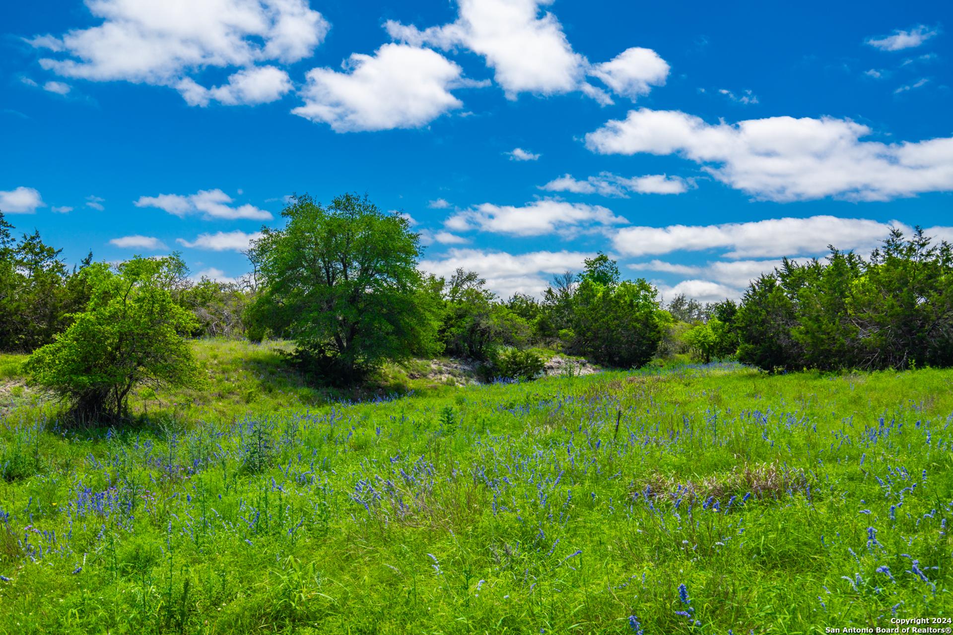 0 Jung Road, HARPER, TX, 78631
