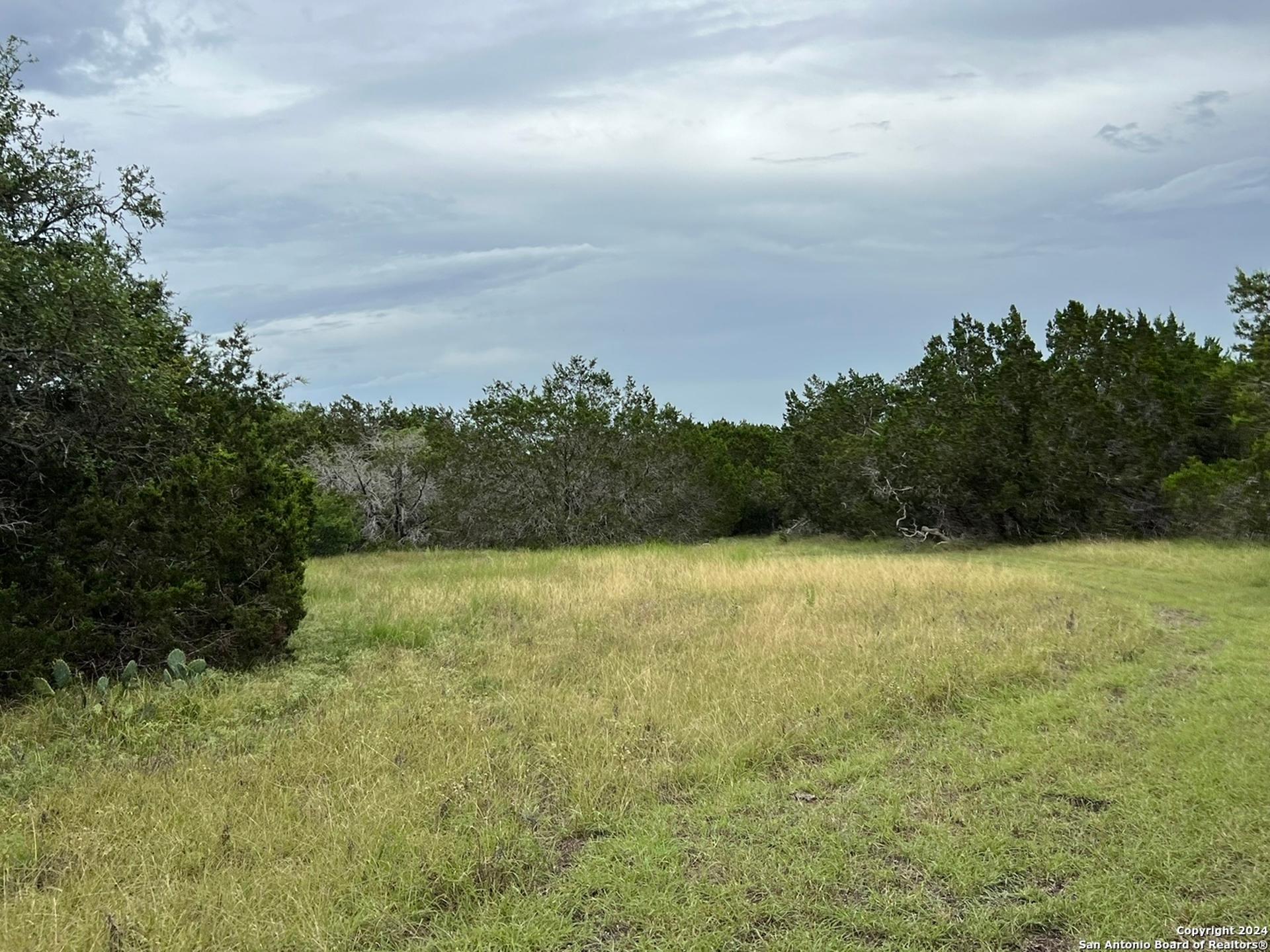 1984 North Grape Creek Rd, FREDERICKS, TX, 78624