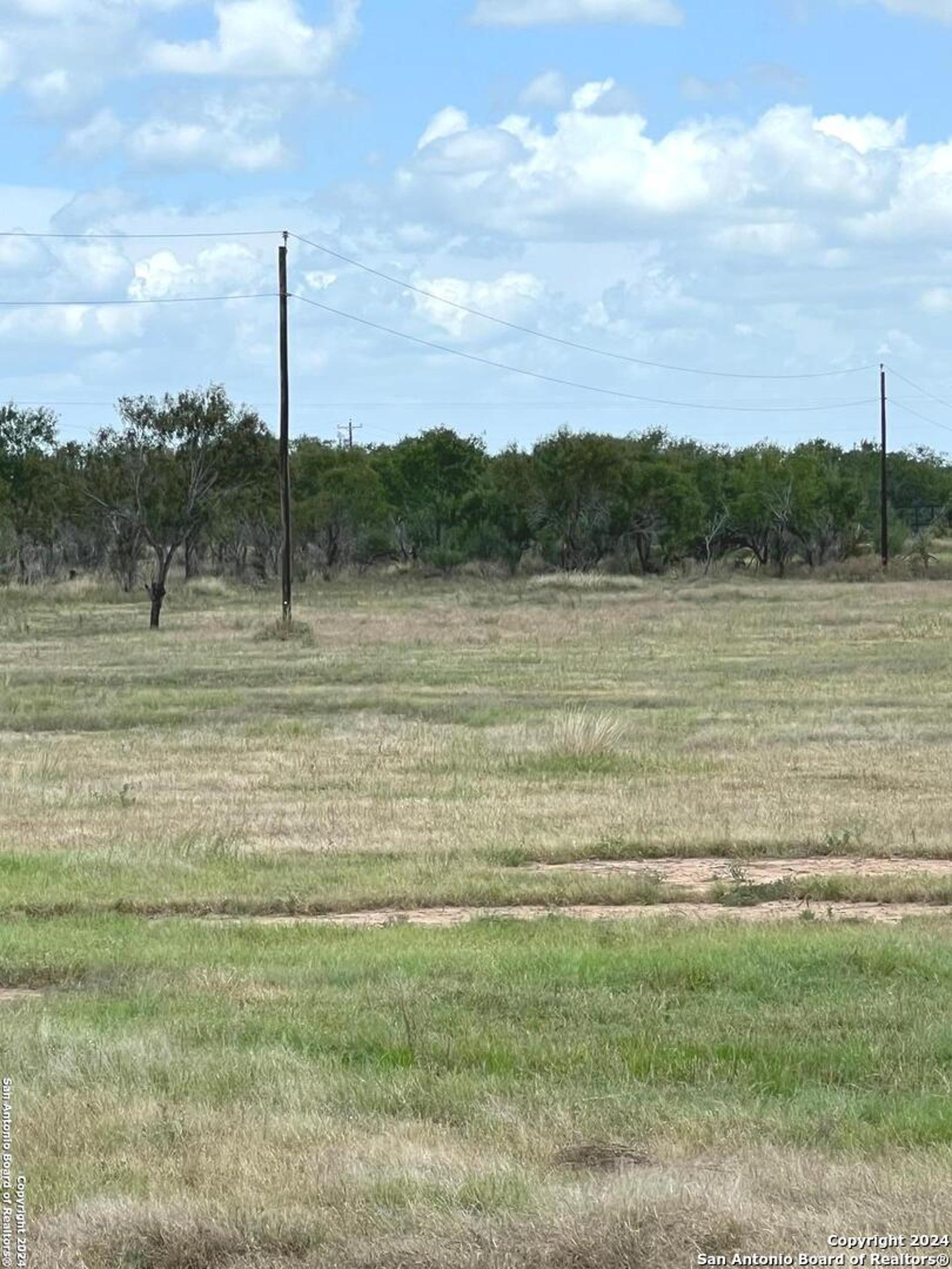 8136 Leal Rd, PLEASANTON, TX, 78064
