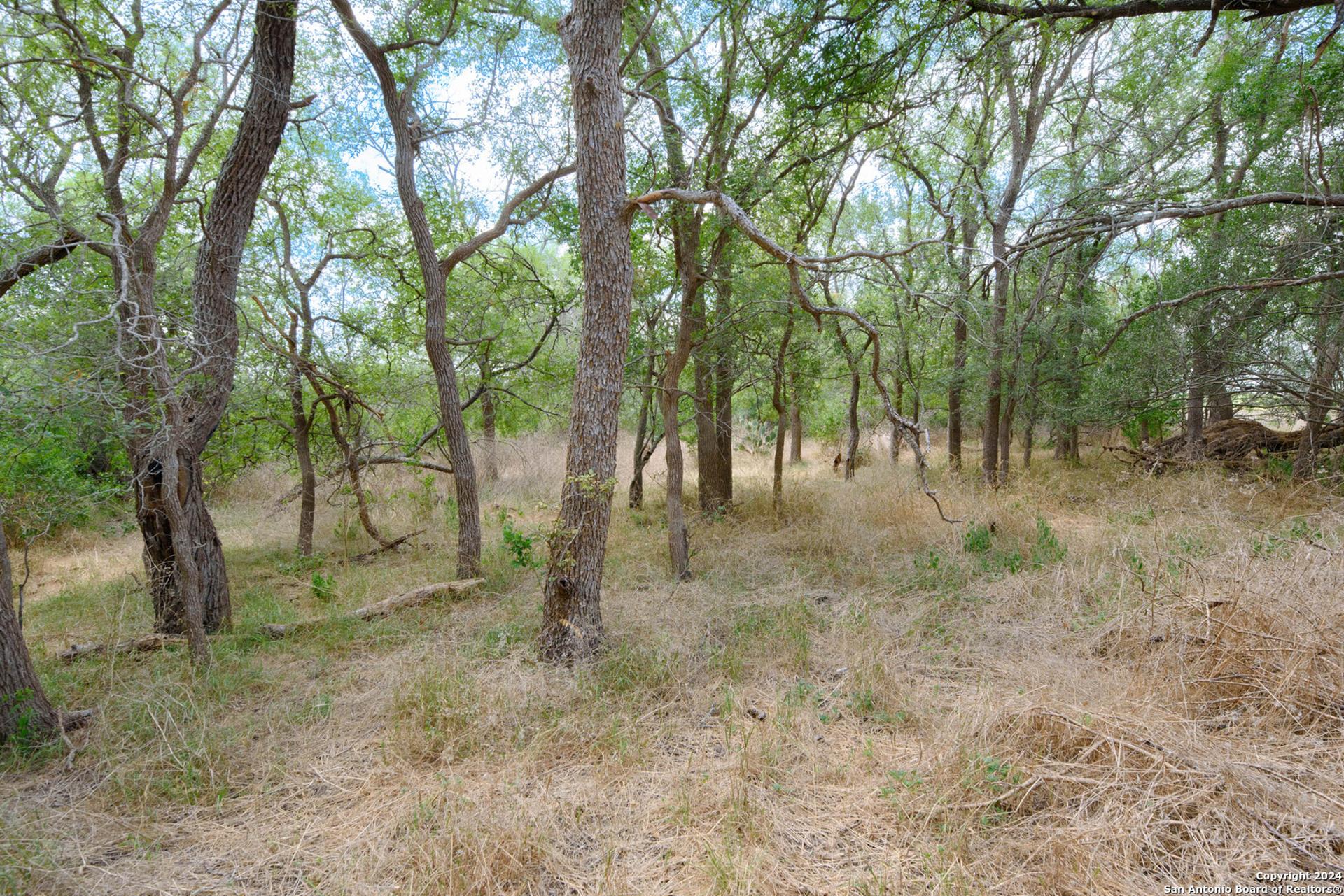 TBD Santa Clara Rd, SEGUIN, TX, 78155