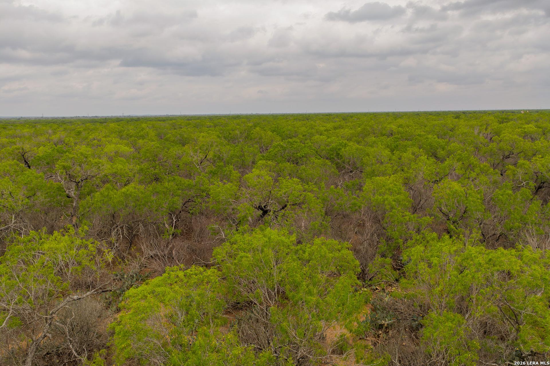 8 FM 1581, PEARSALL, TX, 78061