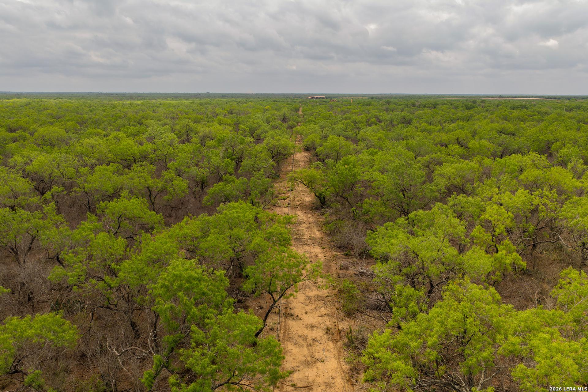 8 FM 1581, PEARSALL, TX, 78061