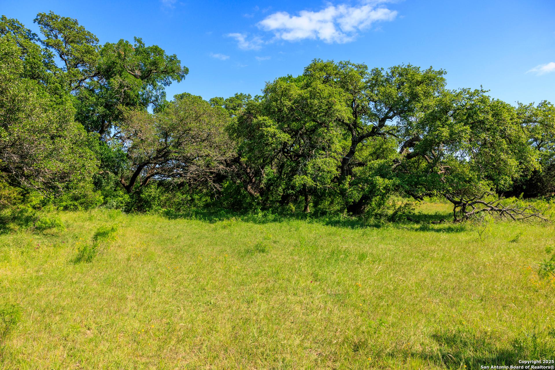 2199 Langes Mill Road, DOSS, TX, 78618