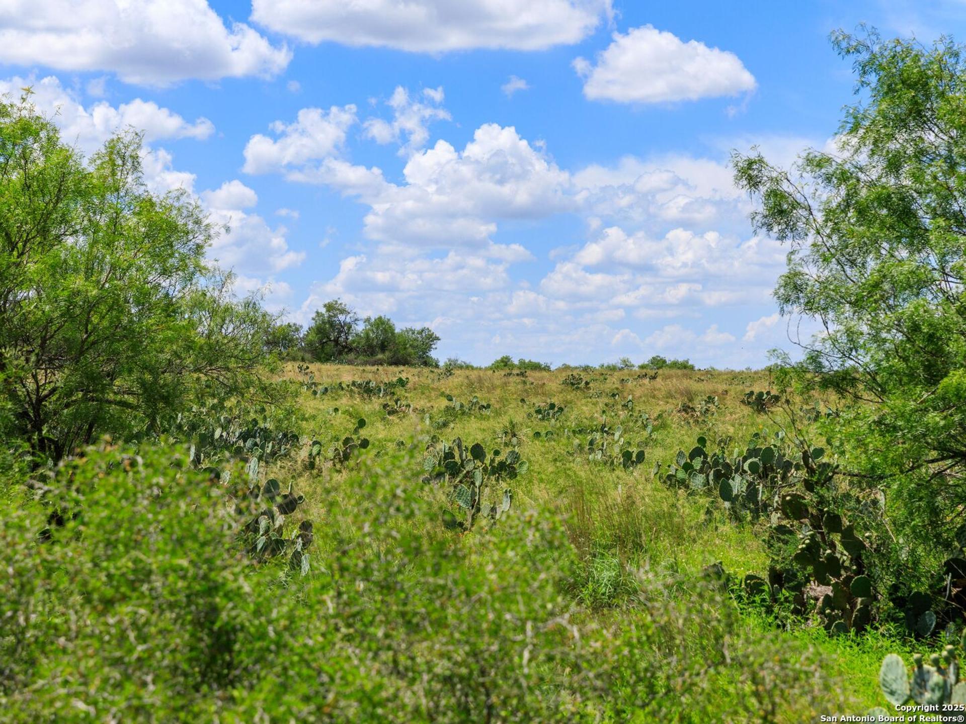 200-236 FM 3252, CARRIZOSPR, TX, 78836