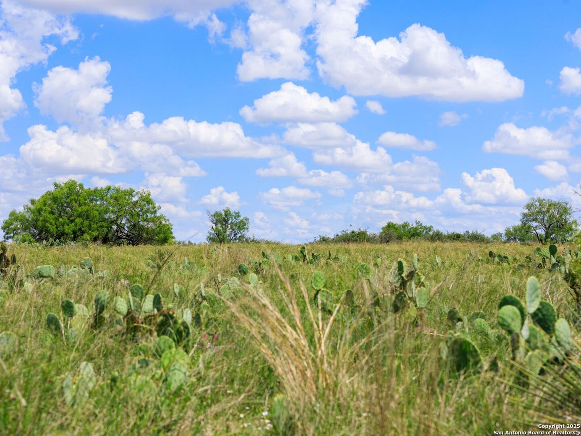200-236 FM 3252, CARRIZOSPR, TX, 78836