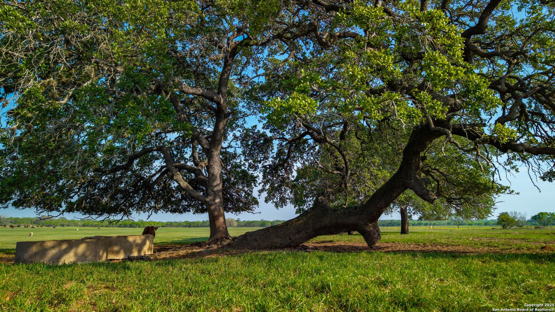 TBD County Road 404, FLORESVILL, TX, 78114