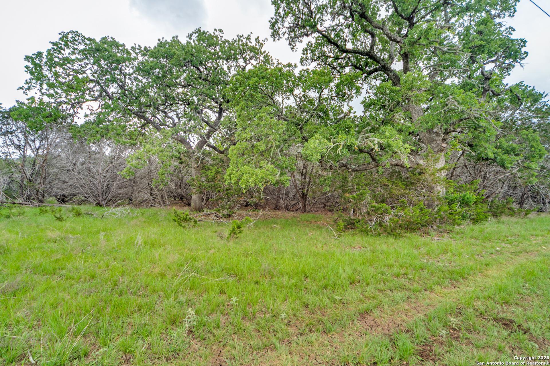 TBD 37 ACRES Elm Pass, BANDERA, TX, 78003