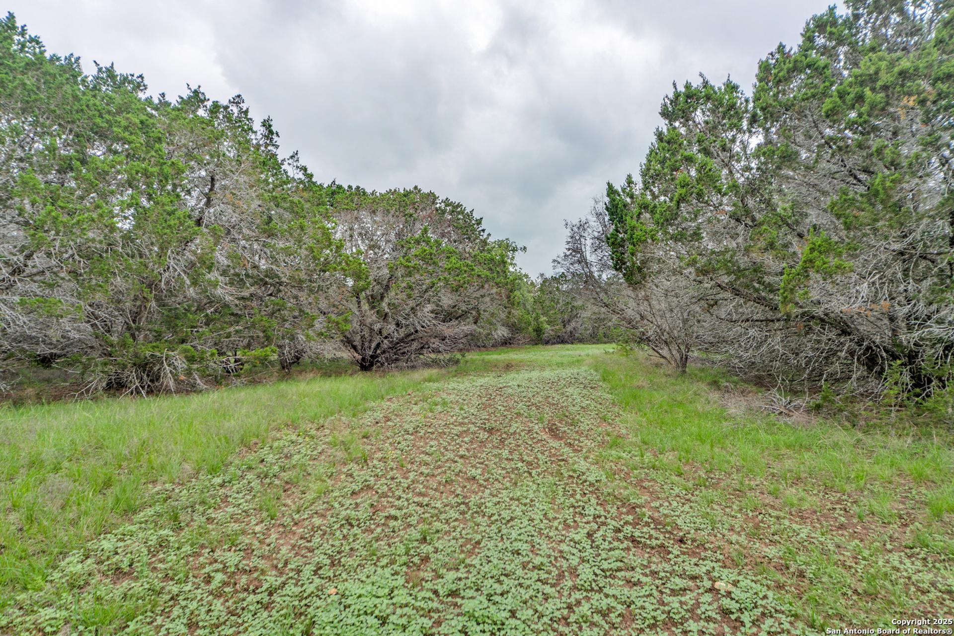TBD 37 ACRES Elm Pass, BANDERA, TX, 78003