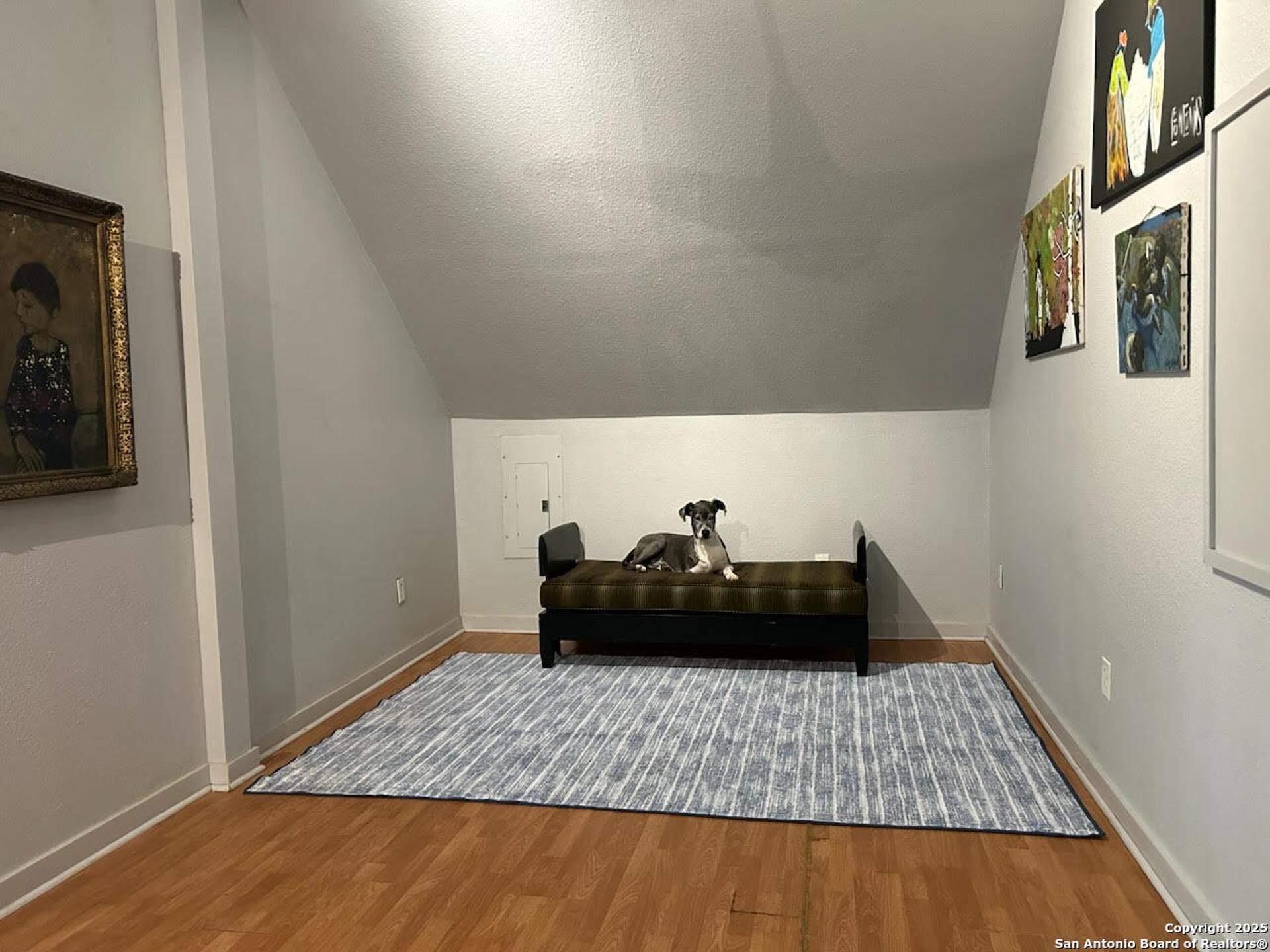 6 Collins Hill Rd, LYTLE, TX, 78052