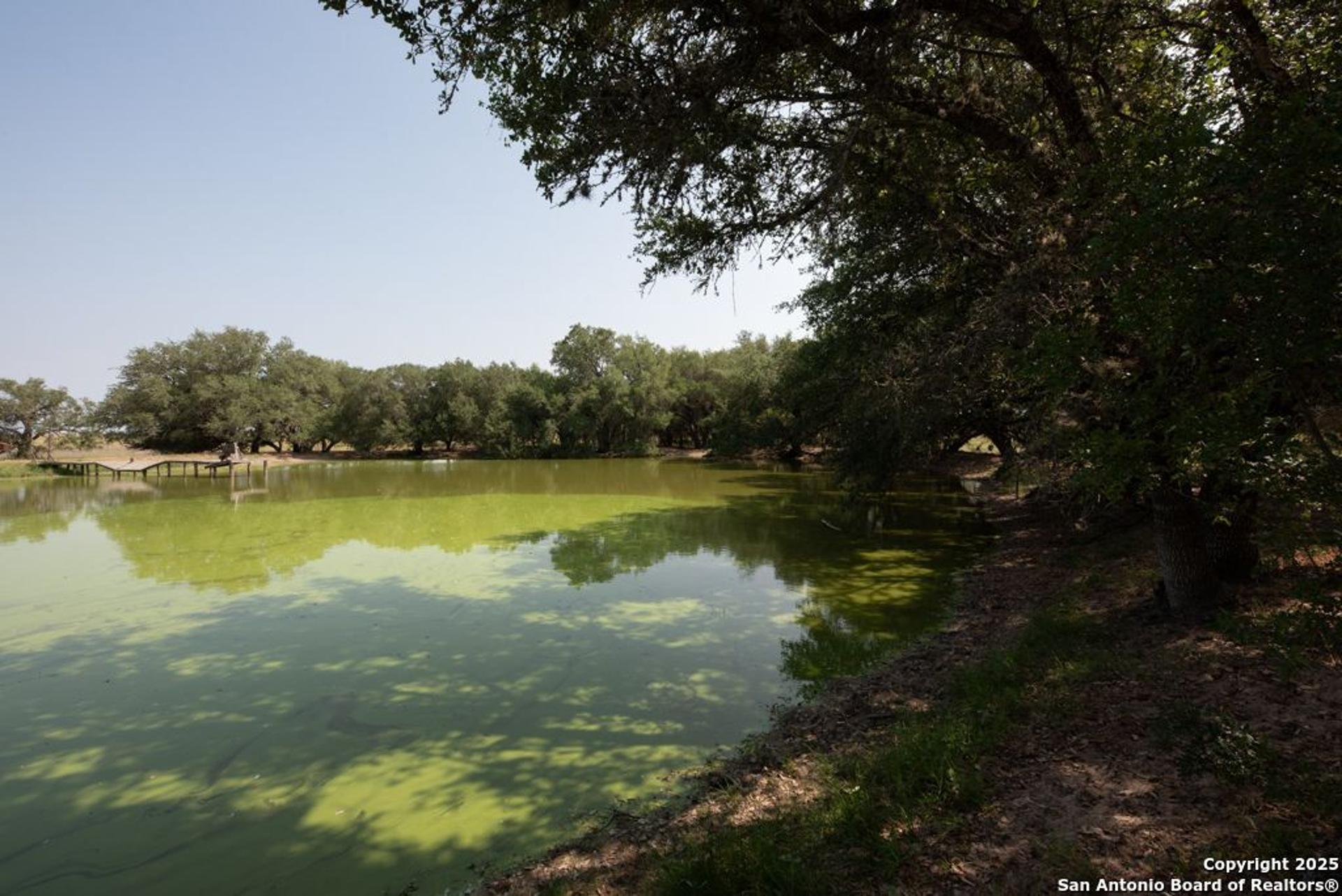 1003 County Road 334, STOCKDALE, TX, 78160
