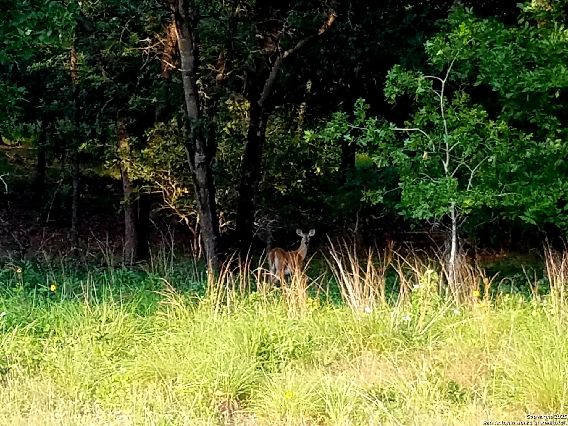 2404 County Road 320, FLORESVILL, TX, 78114