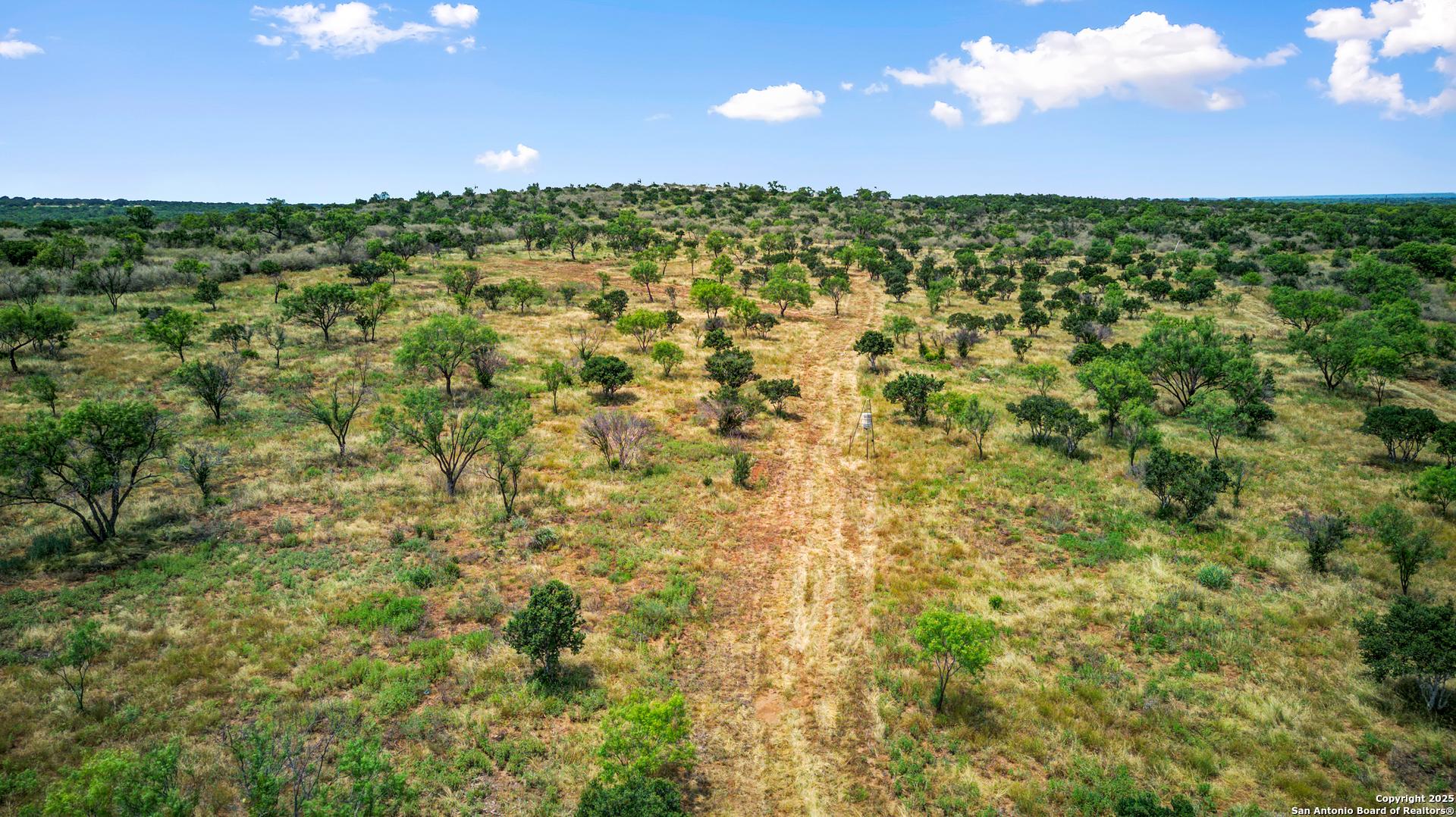 8661 lower willow creek, MASON, TX, 76856