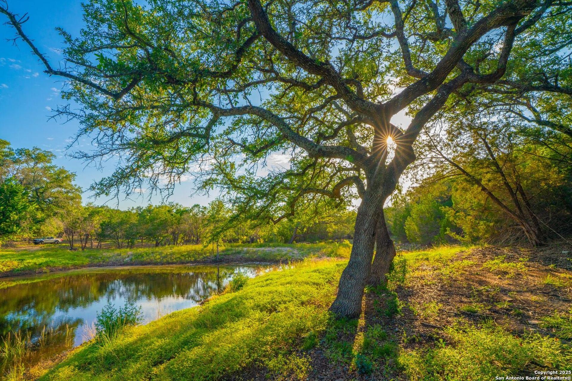 118 Majestic Oaks Drive, BOERNE, TX, 78006