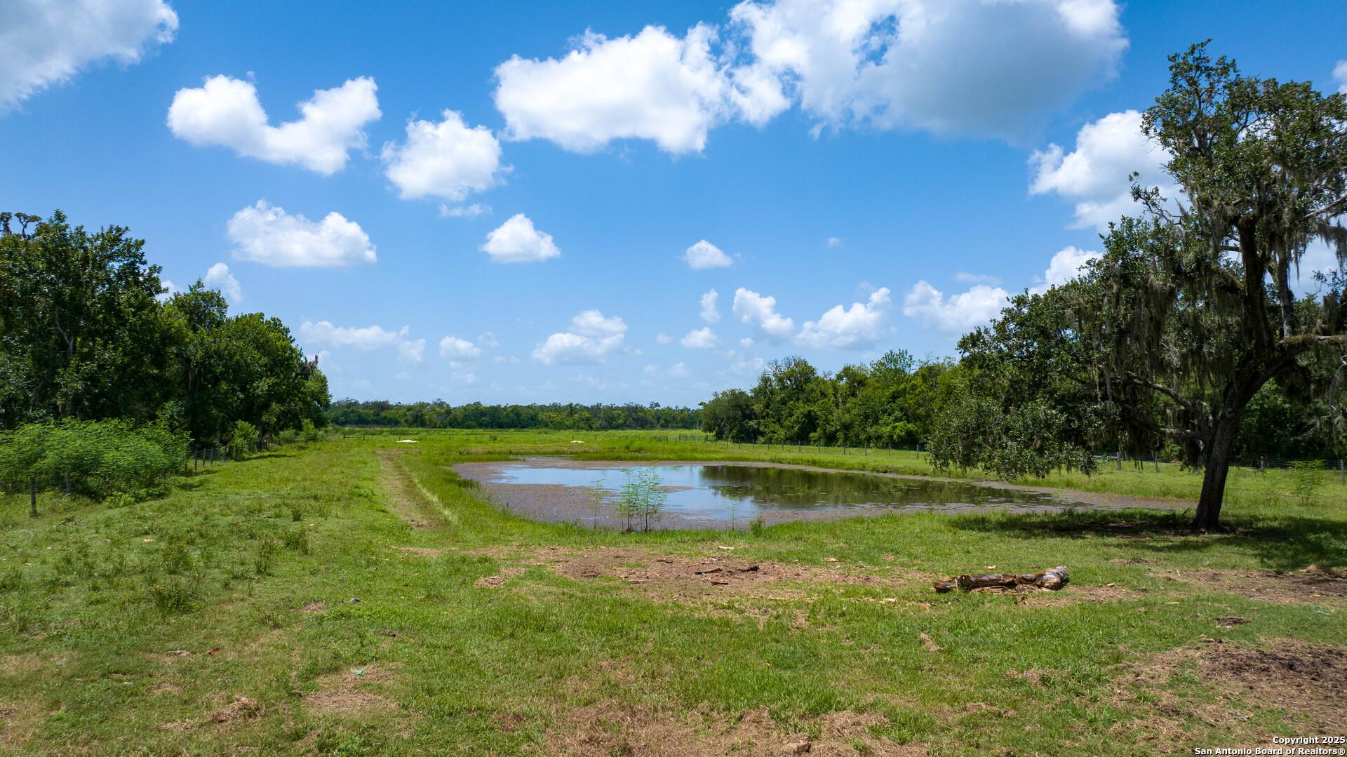 4799 County Road 652, BRAZORIA, TX, 77422
