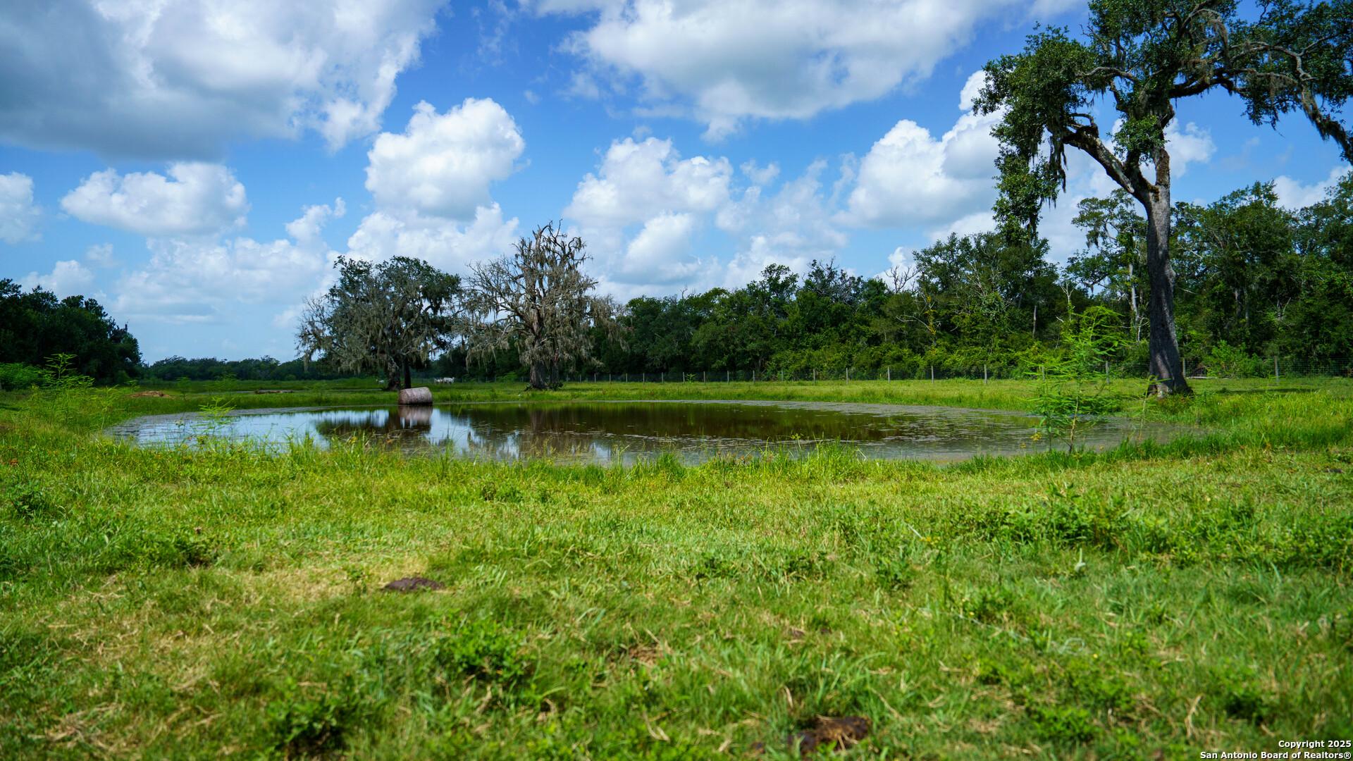 4799 County Road 652, BRAZORIA, TX, 77422