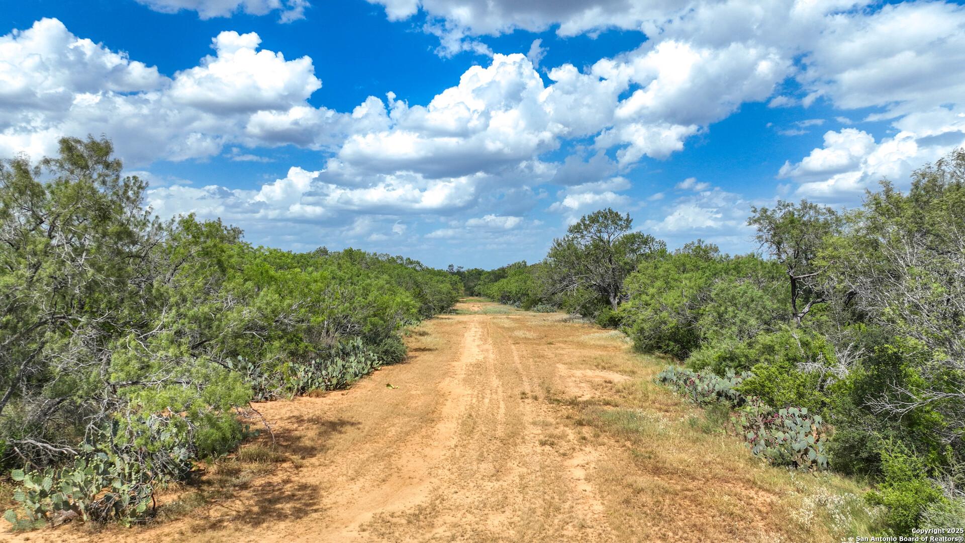 6451 Bluntzer Rd, JOURDANTON, TX, 78026