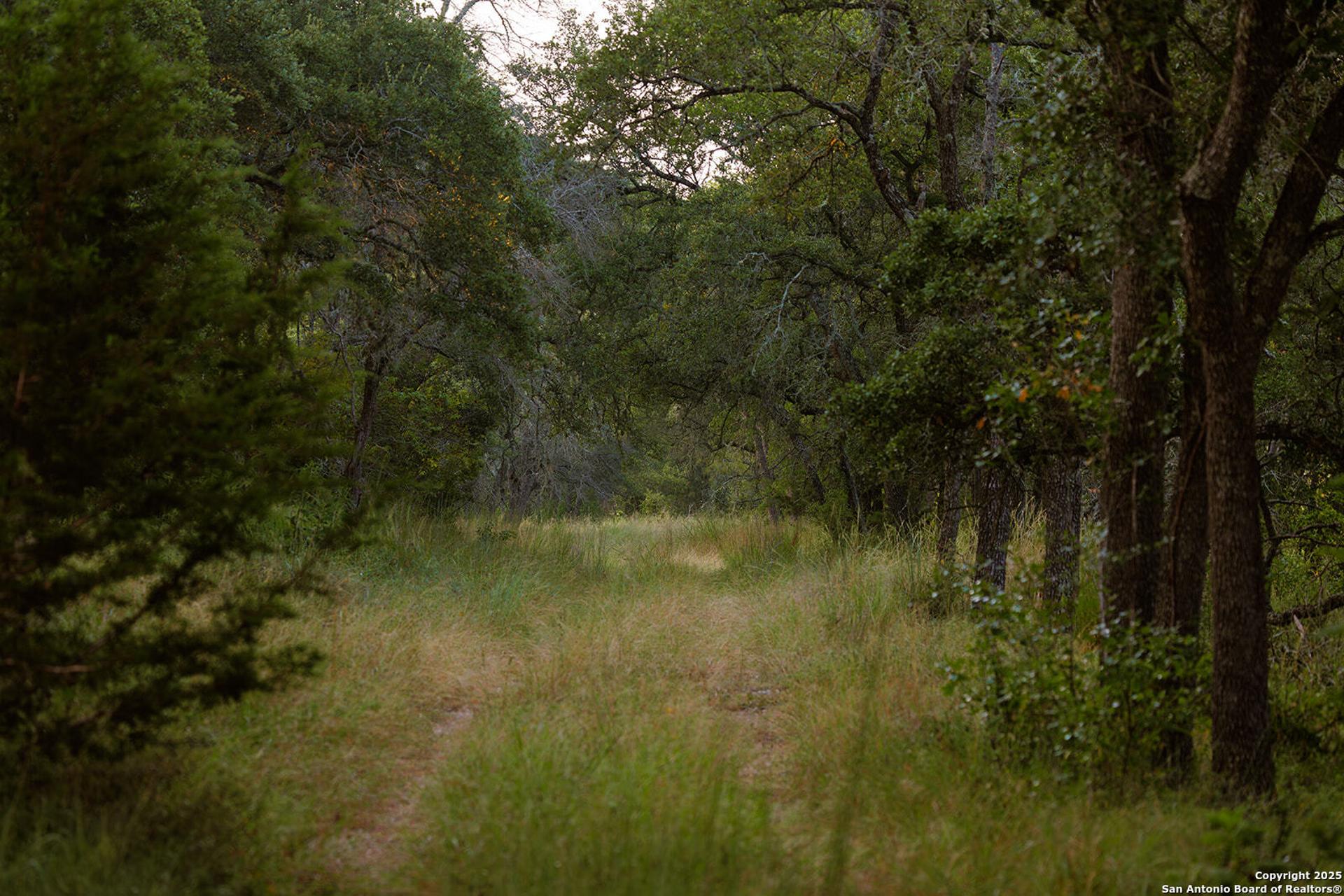 3067 Ranch Road 1888, BLANCO, TX, 78606