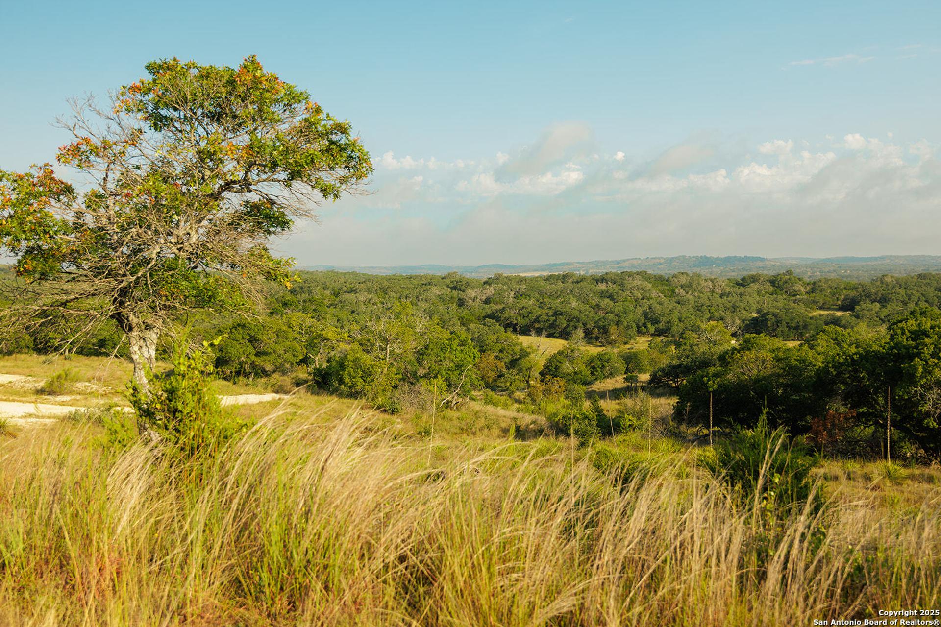3067 Ranch Road 1888, BLANCO, TX, 78606