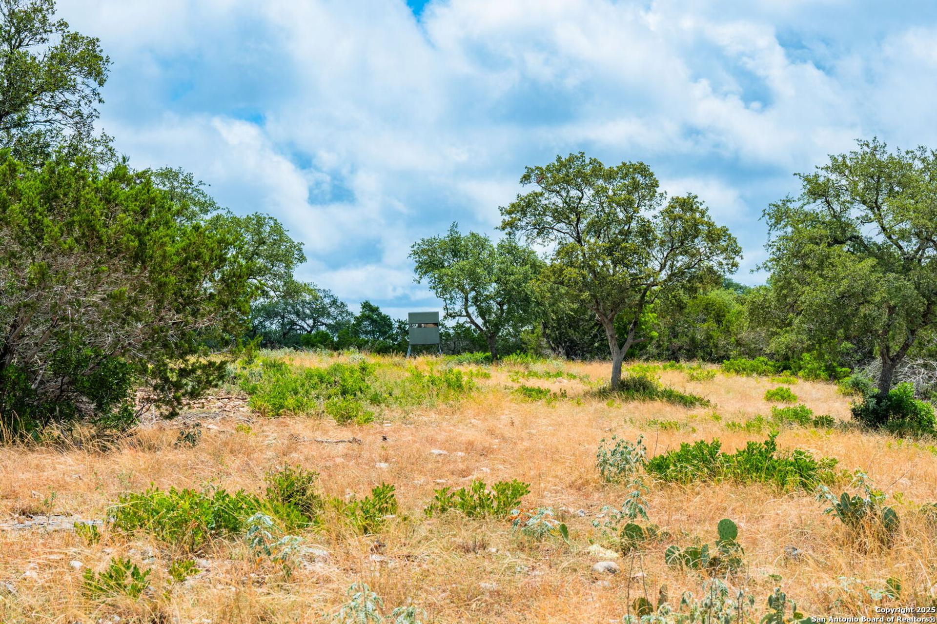 485 Mitchell Ranch, CAMP_WOOD, TX, 78833