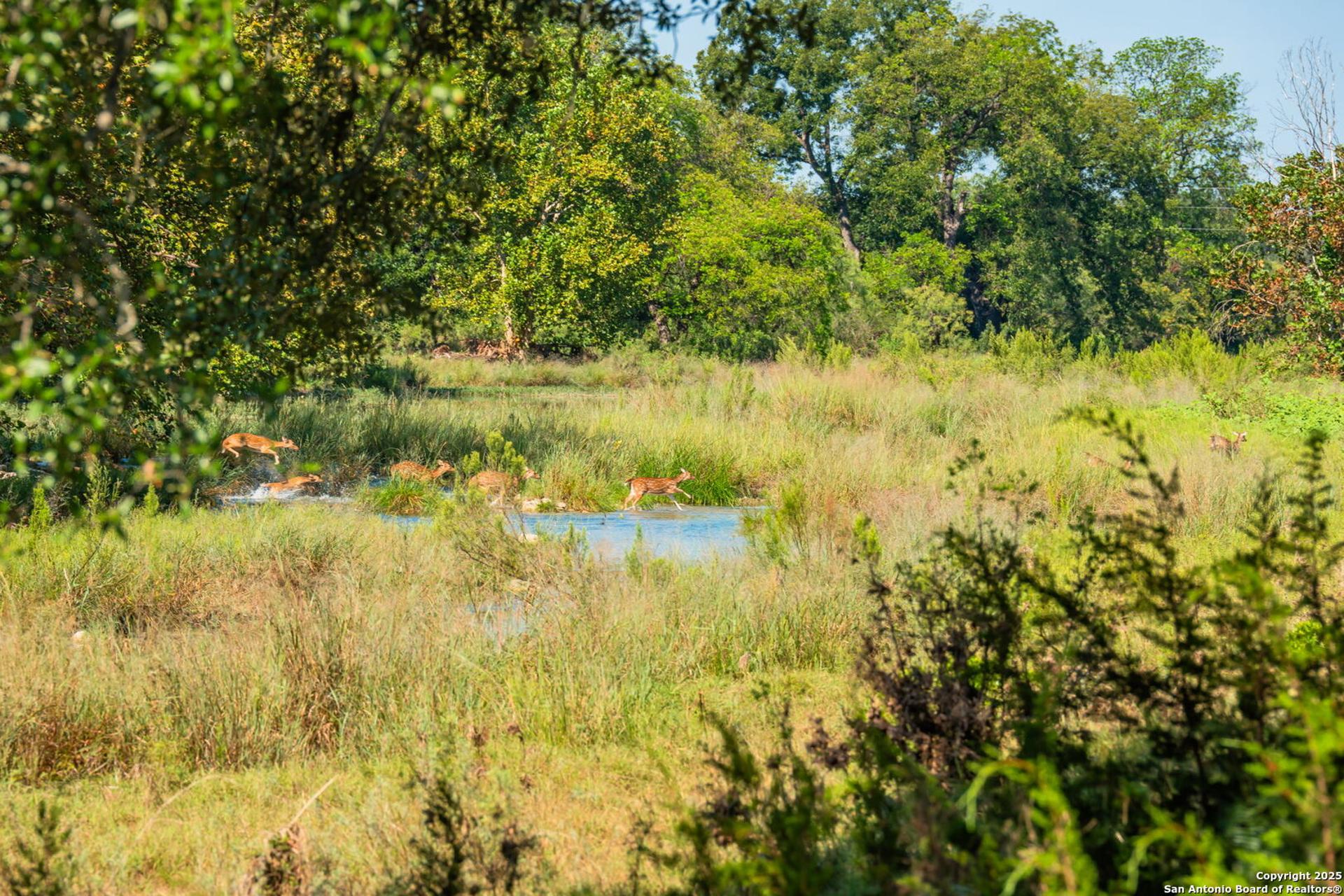 1075 Private Road 3523, ROOSEVELT, TX, 76874