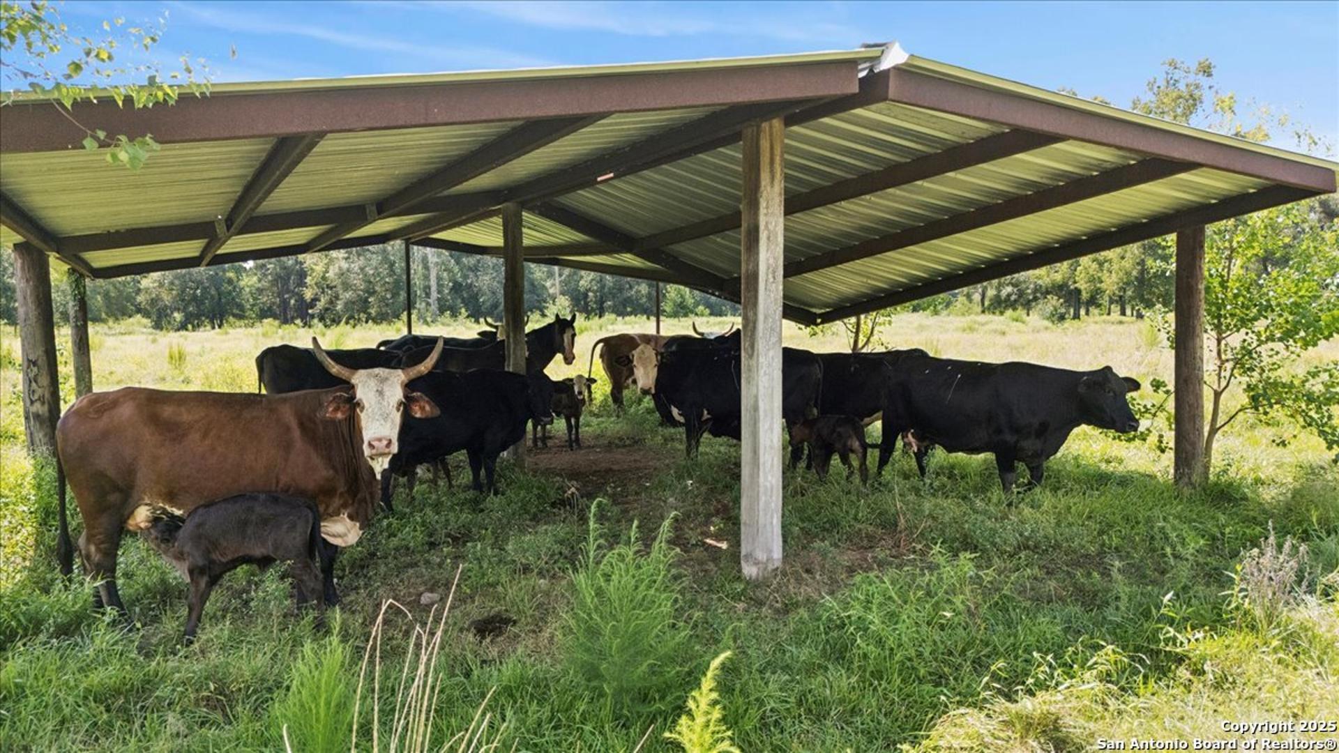 6900 Meyers Rd, ORANGE, TX, 77632