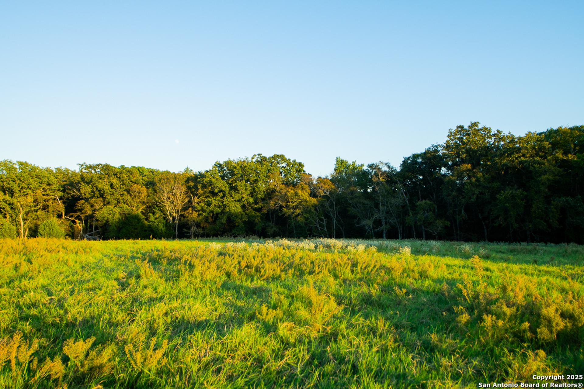 14926 county road 438, LINDALE, TX, 75771