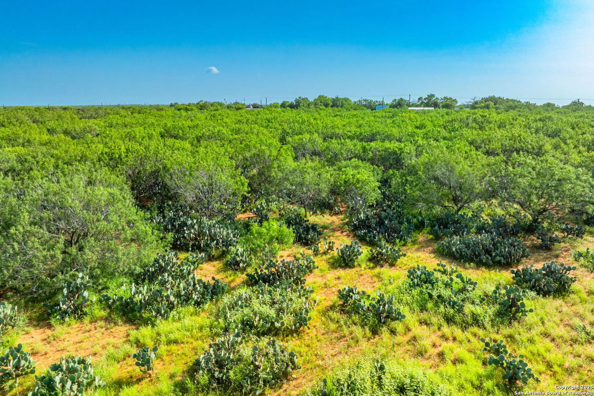 3911 County Road 1000, PEARSALL, TX, 78061