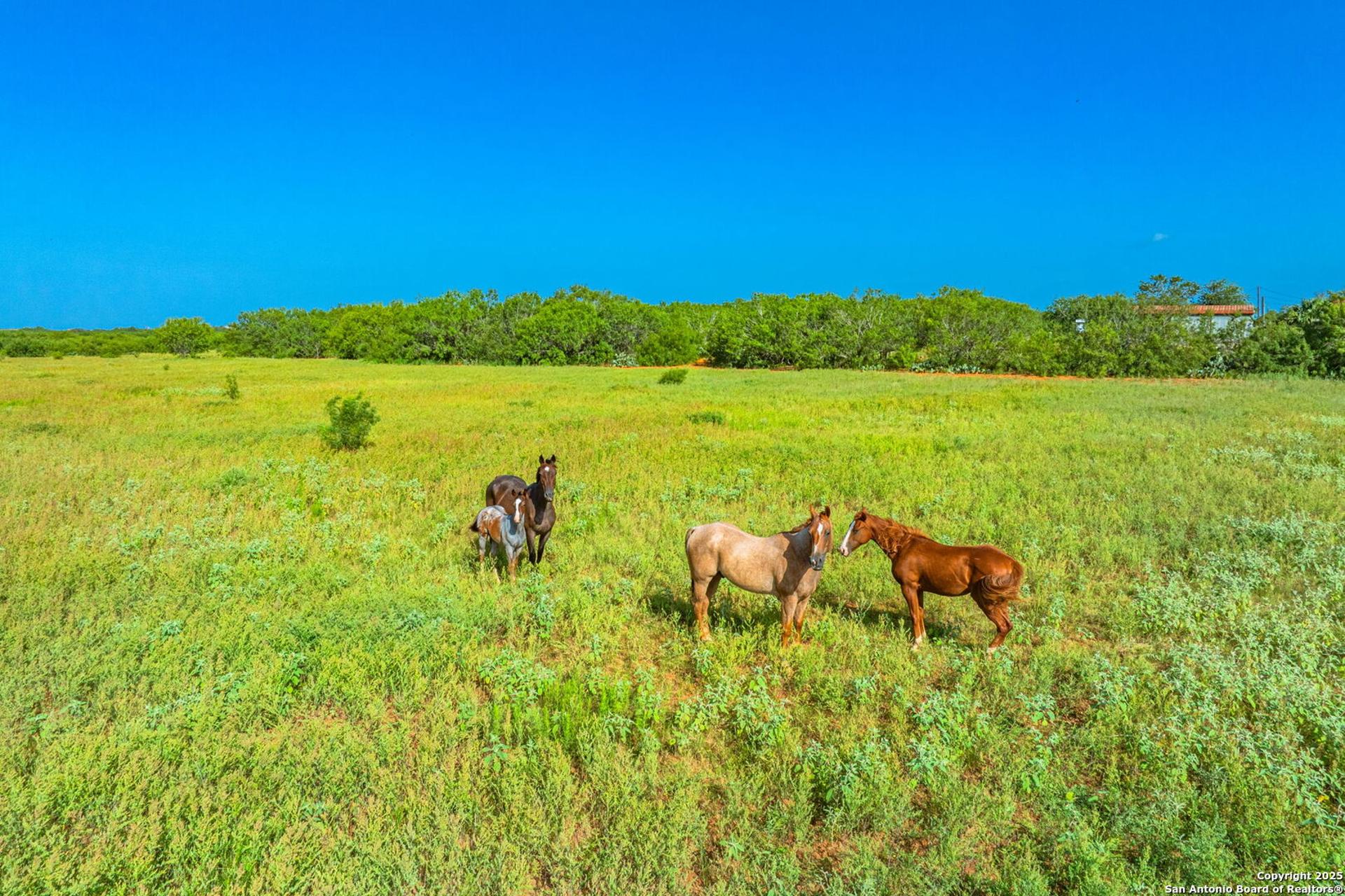 3911 County Road 1000, PEARSALL, TX, 78061