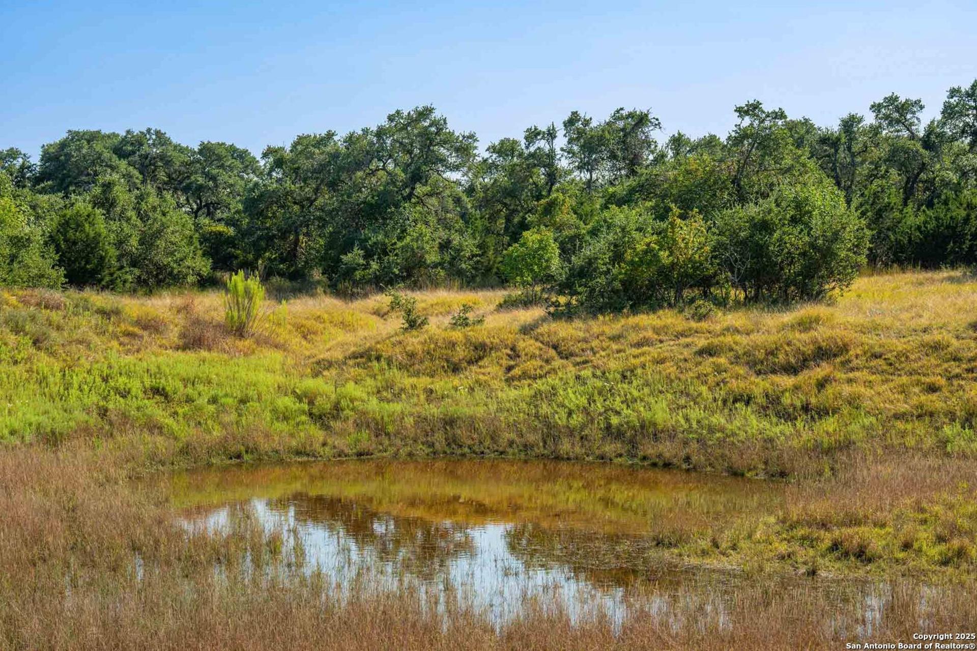 147 Gray Wolf, BLANCO, TX, 78606