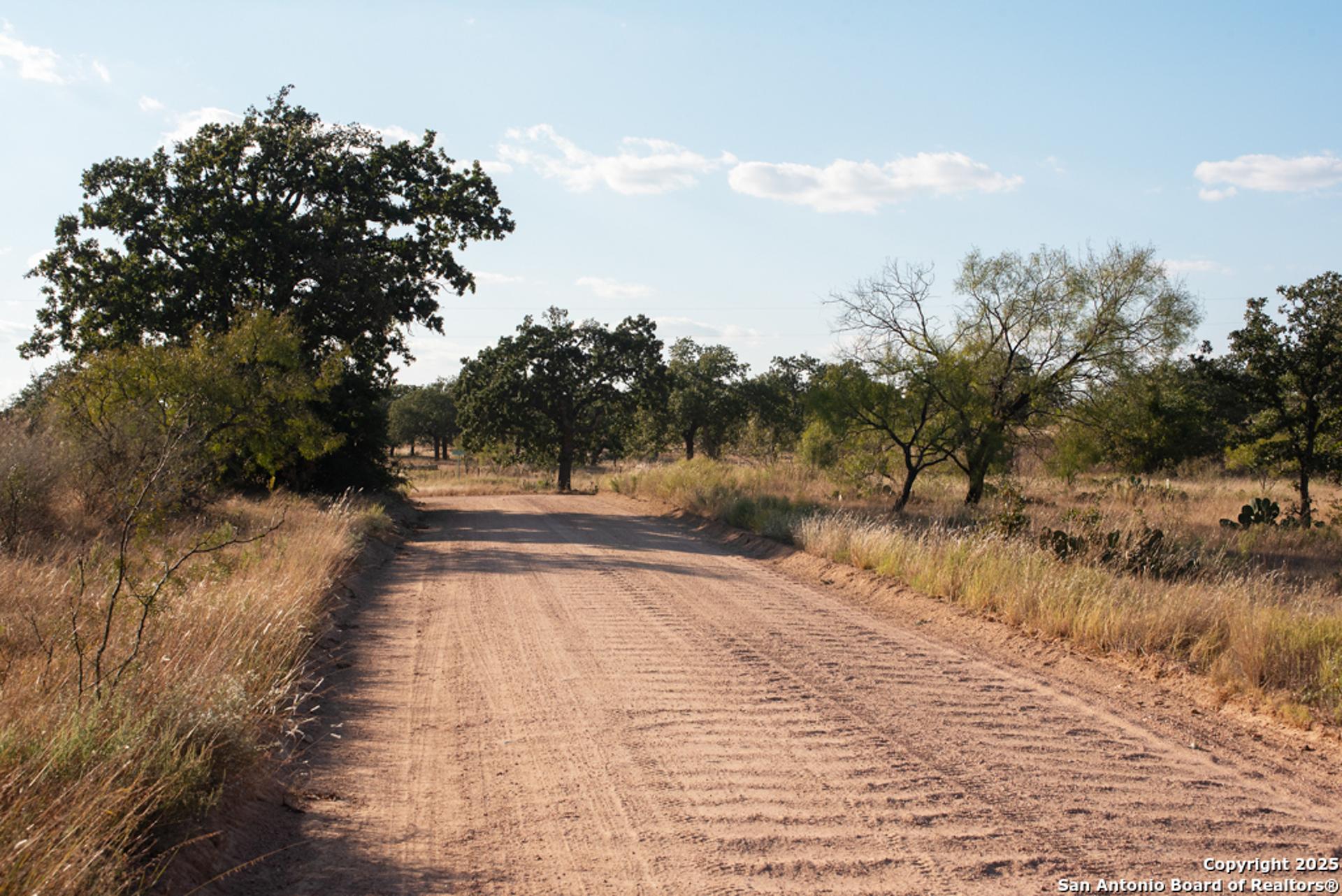 12805 Blackjack Rd, MASON, TX, 76842