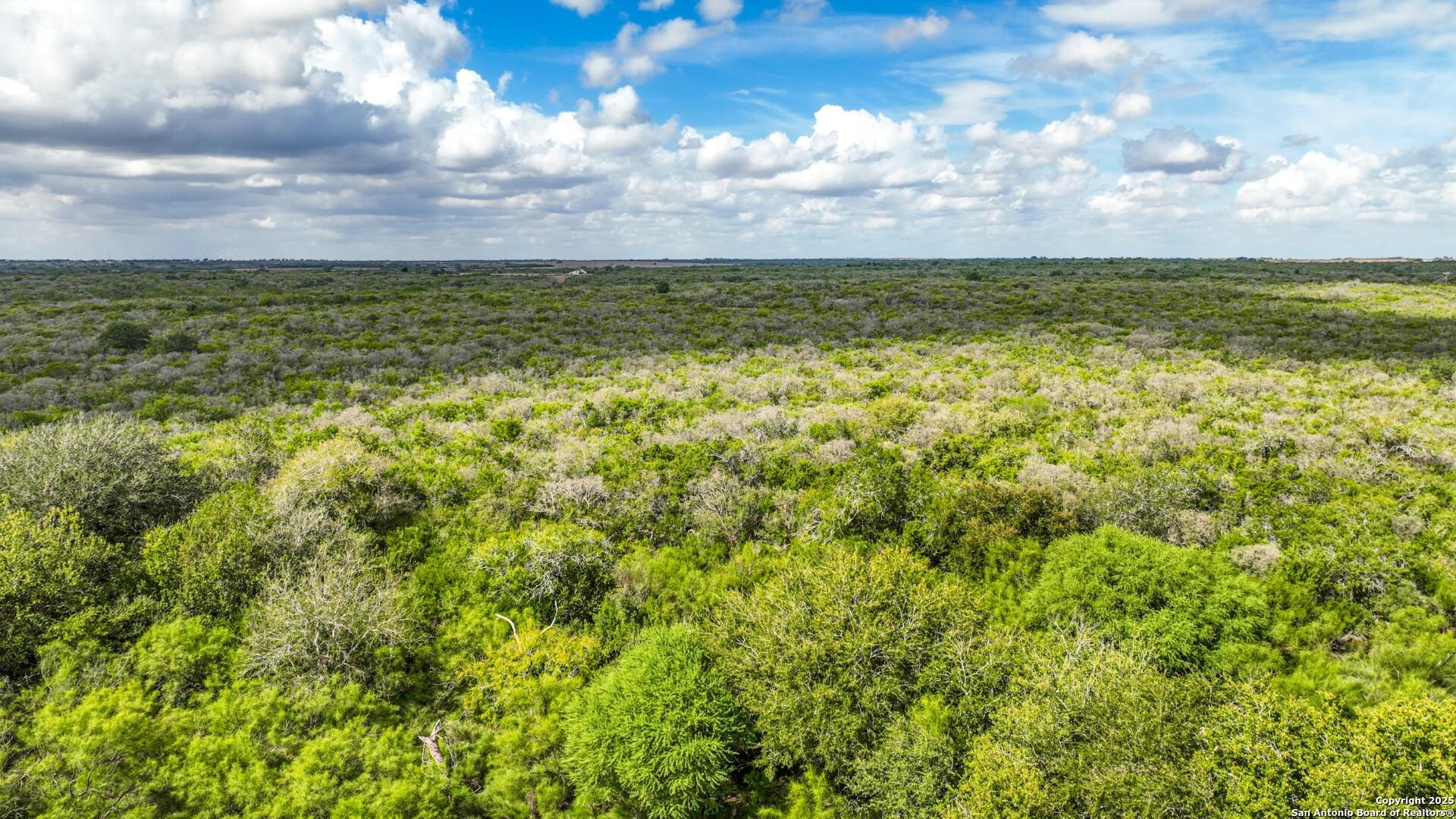 12937 FM 743, KENEDY, TX, 78119