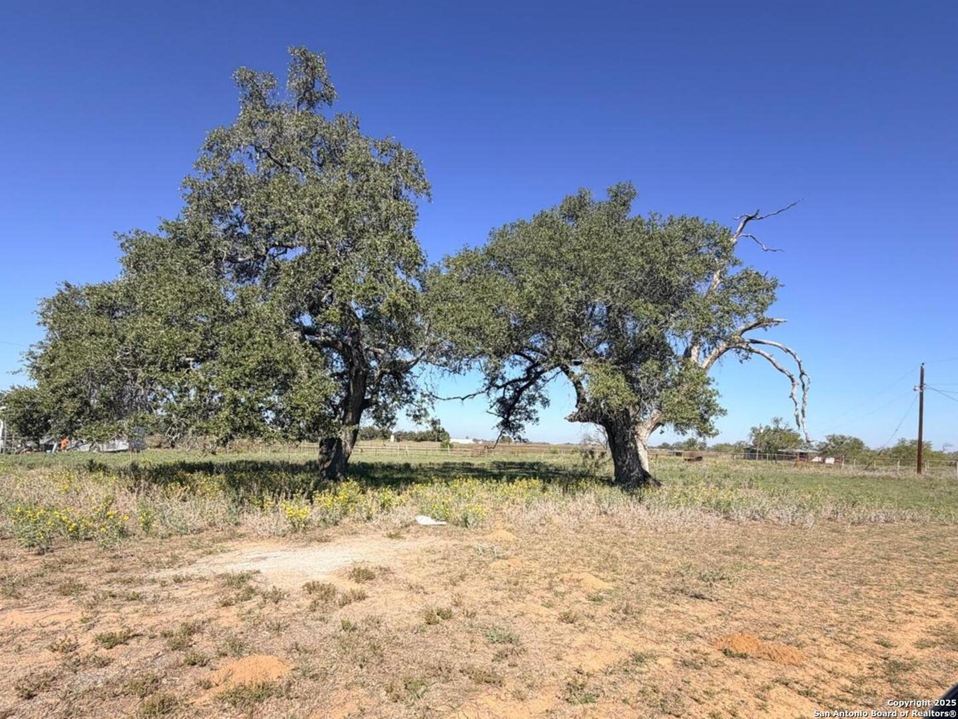2880 2nd, PLEASANTON, TX, 78064