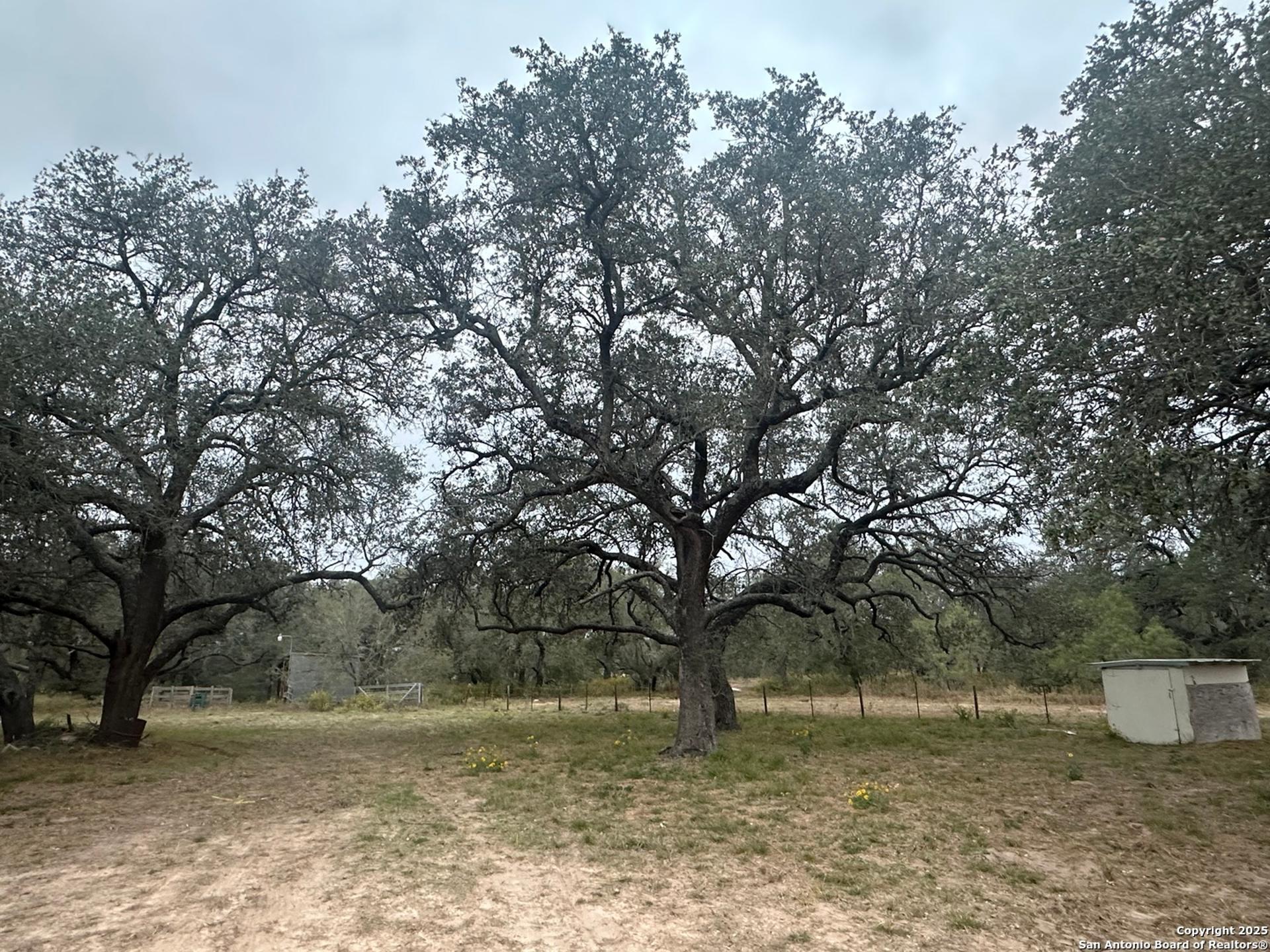 1150 County Road 765, MOORE, TX, 78057
