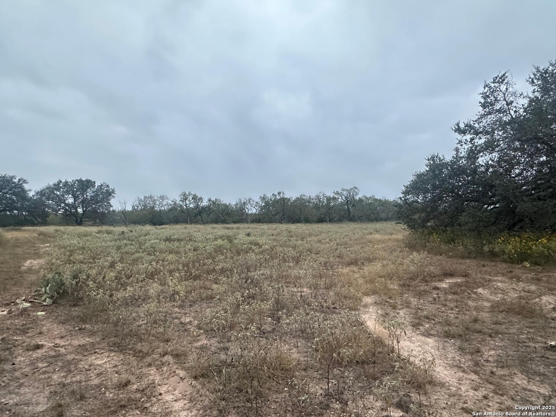 1150 County Road 765, MOORE, TX, 78057