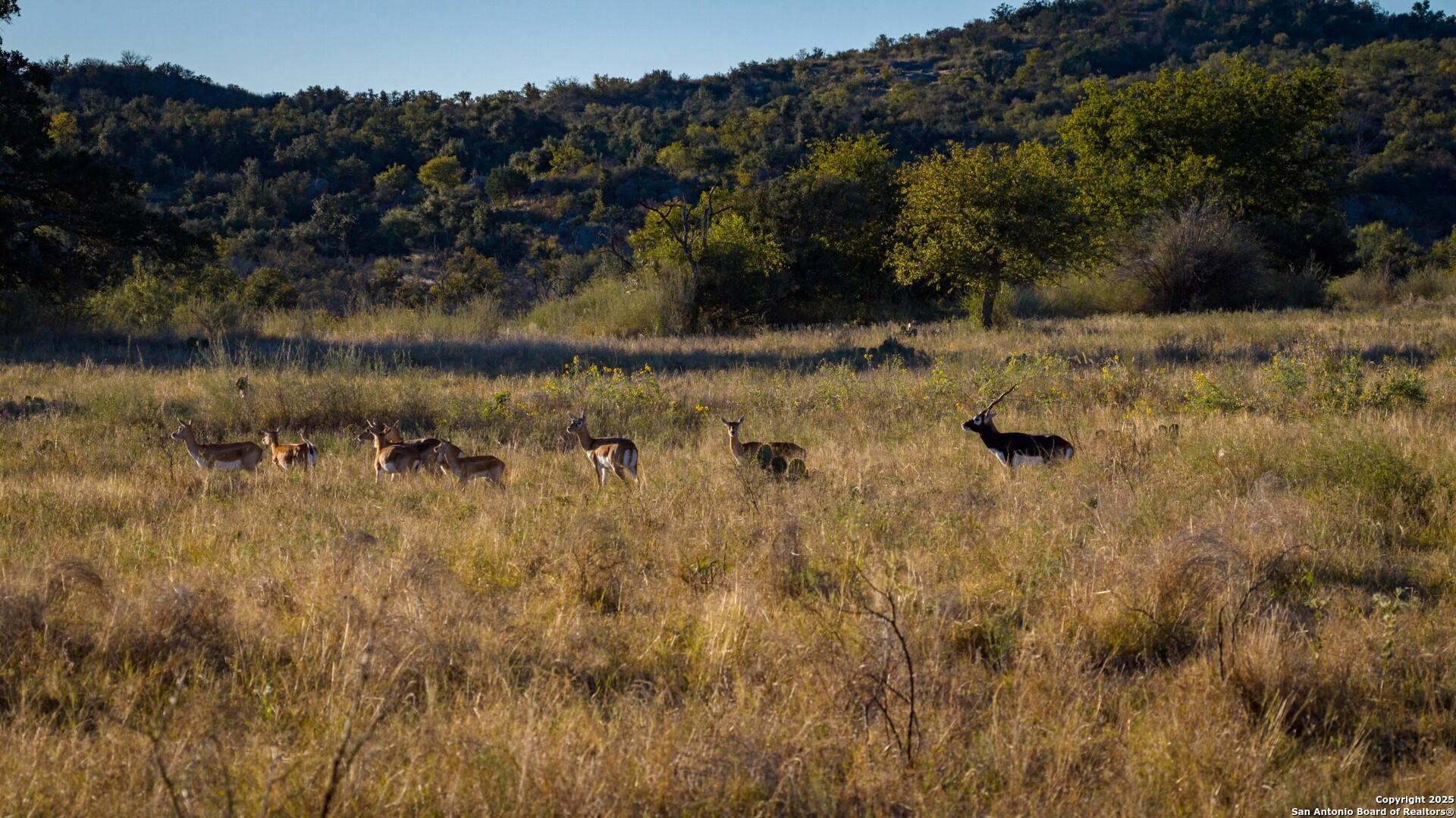 7702 ranch road 965, LLANO, TX, 78643